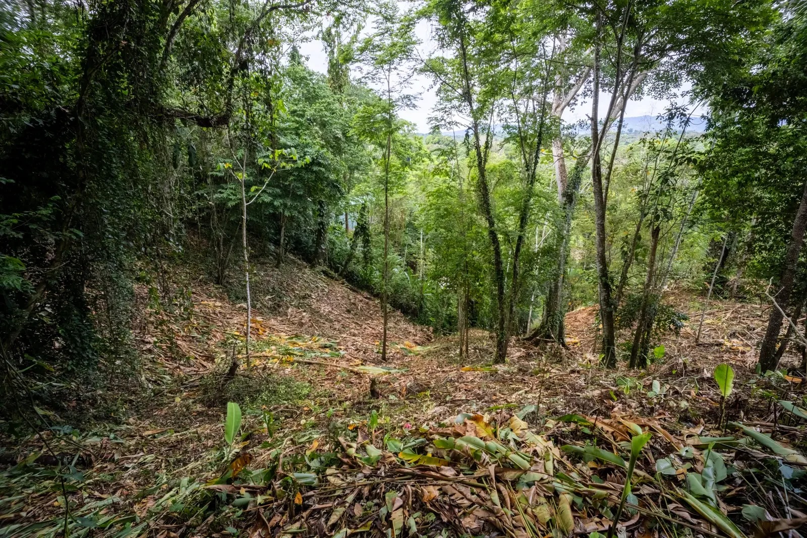 5500sqm Lot with Mountain View in Iriria (4).webp