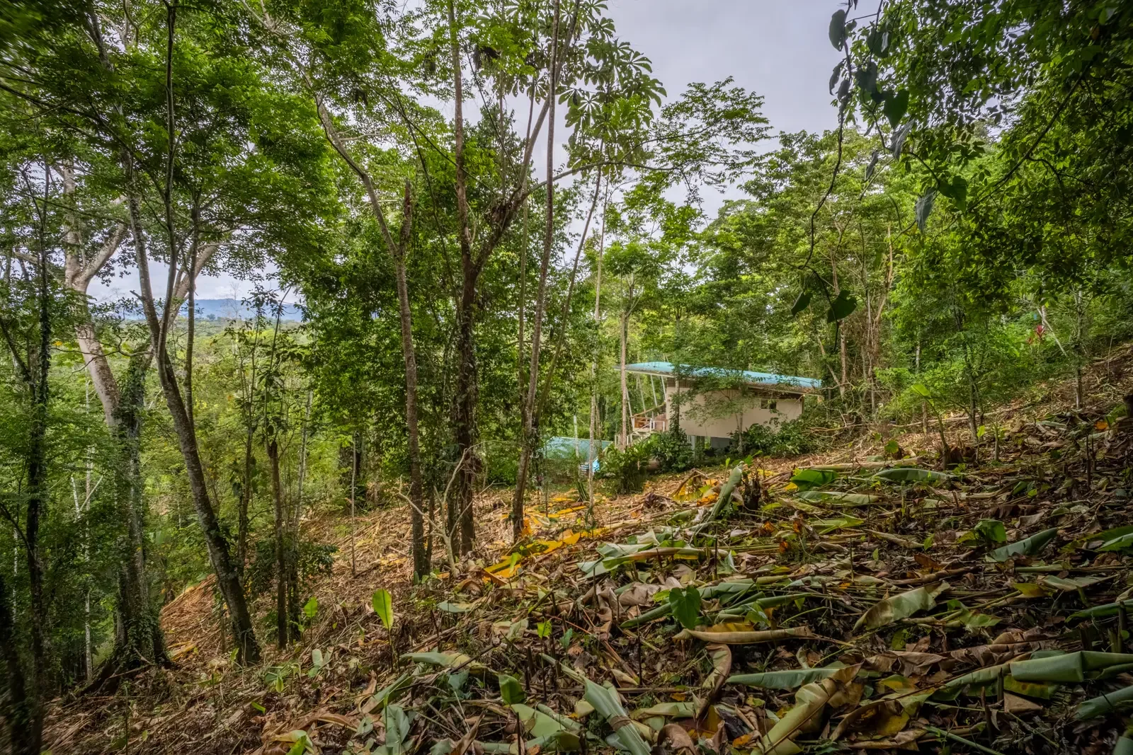 5500sqm Lot with Mountain View in Iriria (5).webp