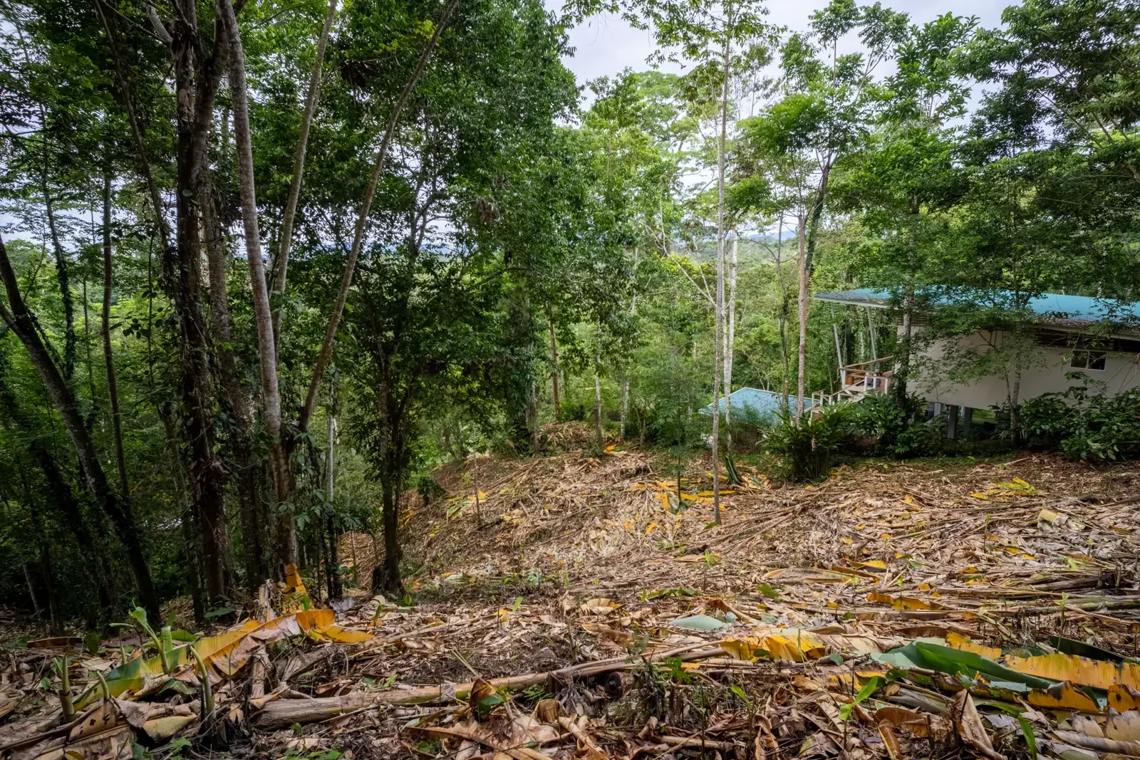 5500sqm Lot with Mountain View in Iriria (6).webp