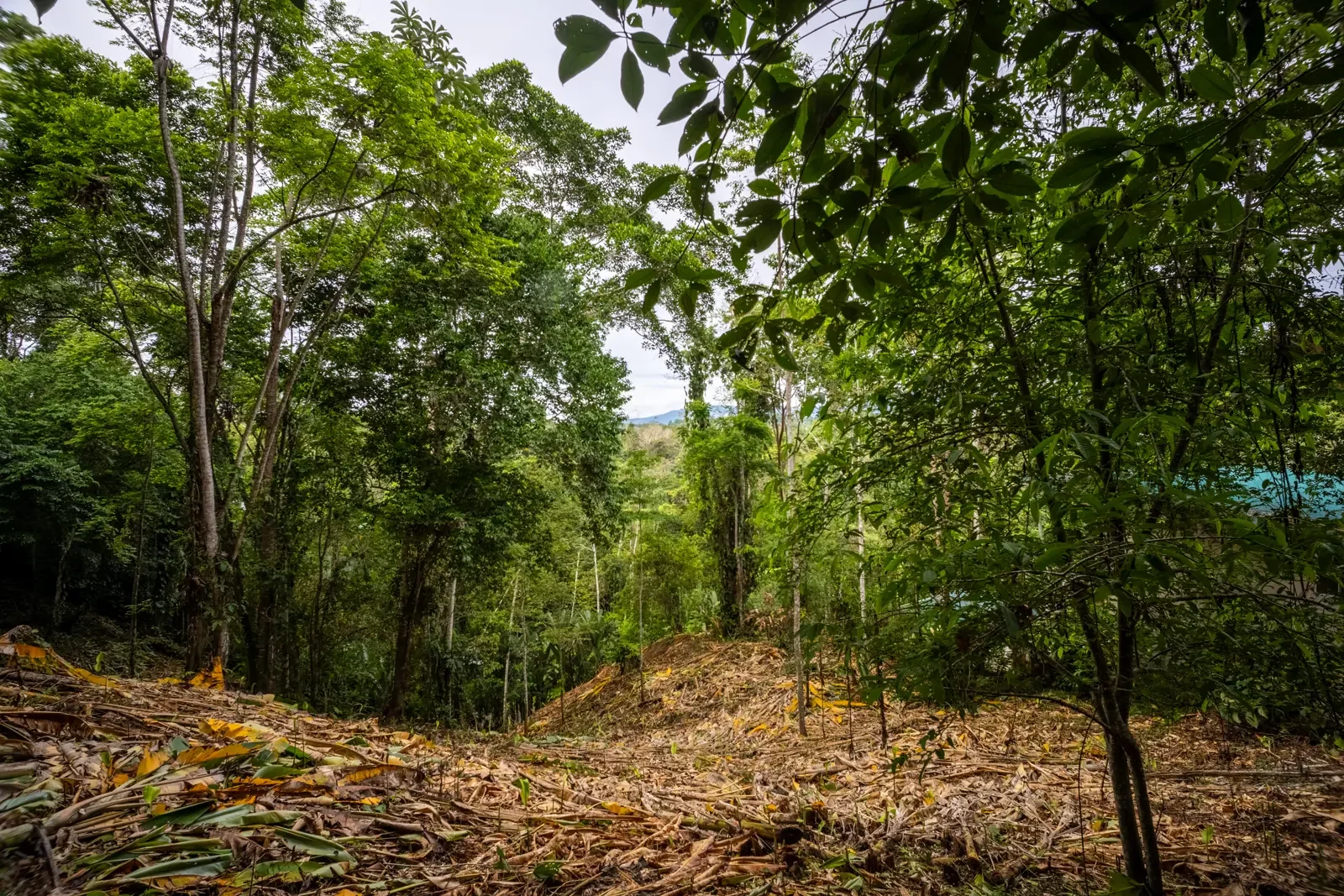 5500sqm Lot with Mountain View in Iriria (7).webp