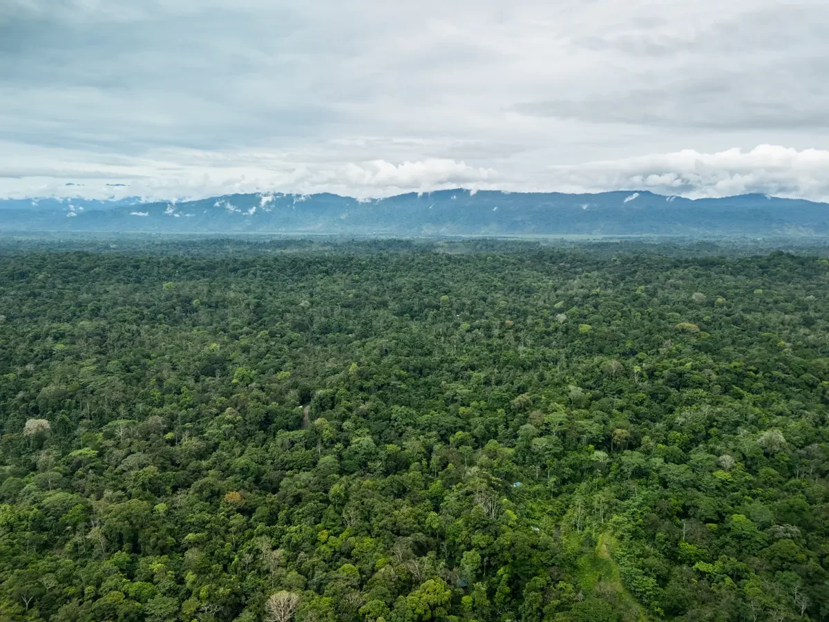 $231,000 - 5,500m² Jungle Lot with Mountain View in Punta Uva
