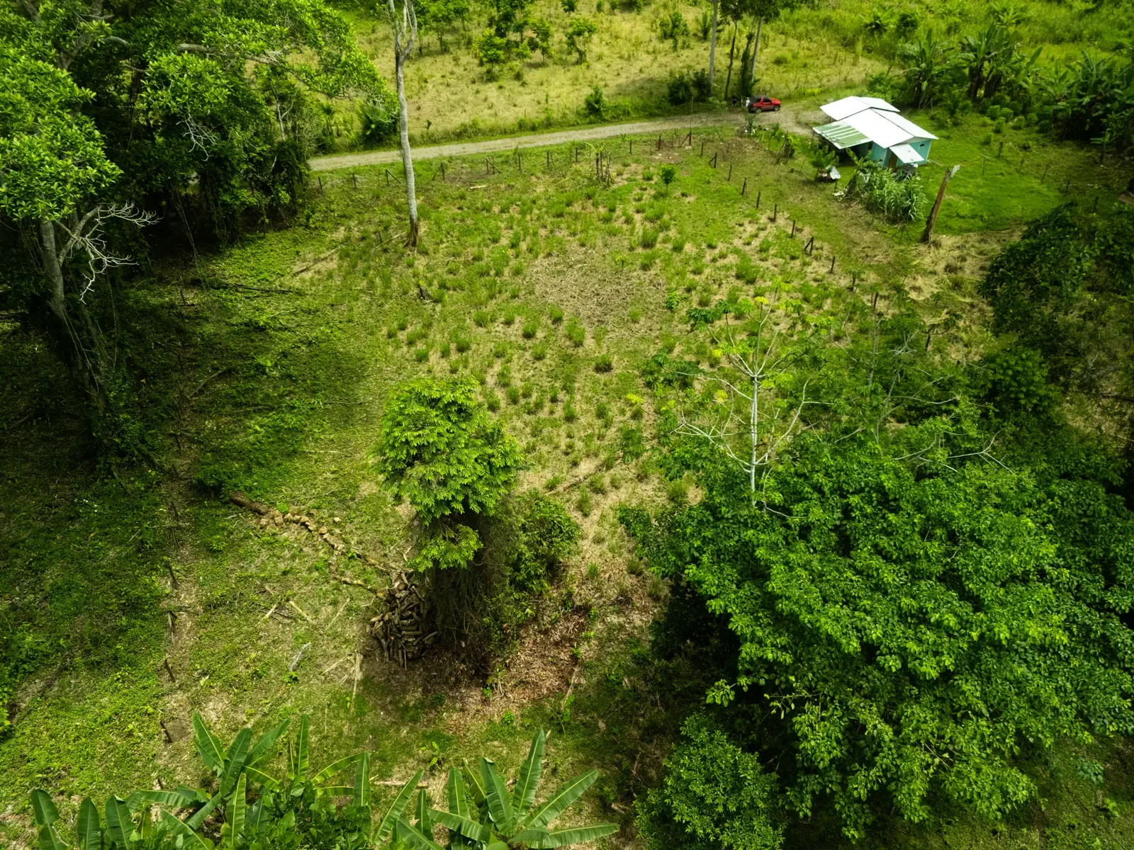 ID 1134  (9).webp