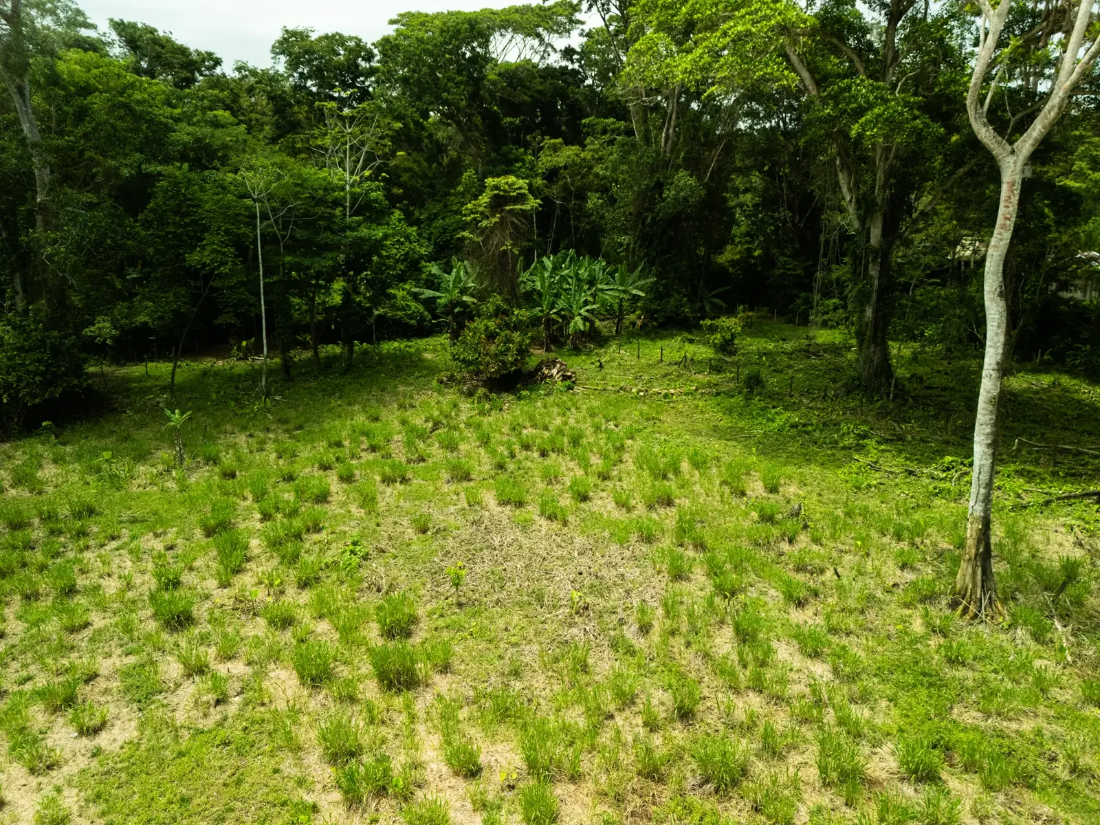 $237,600 - 3960m² Flat Development Lot Near Cahuita, Costa Rica