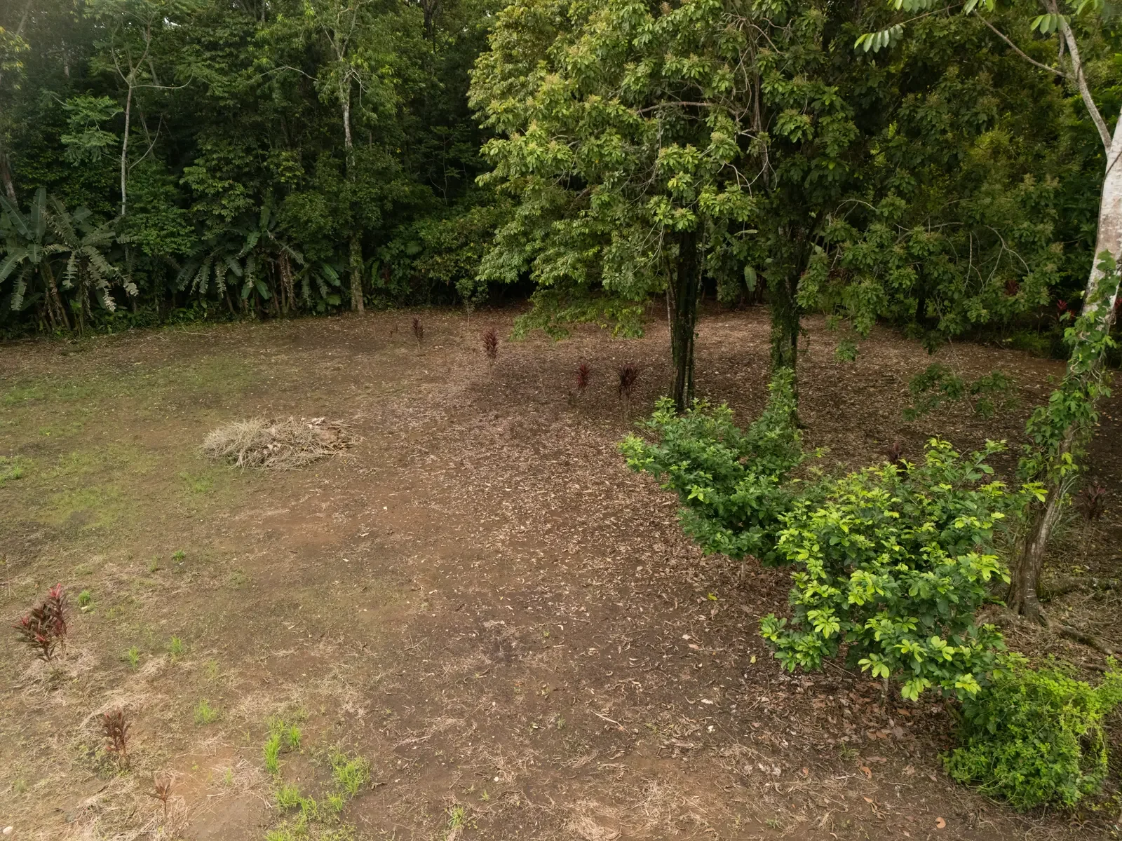ID 1150 (2).webp