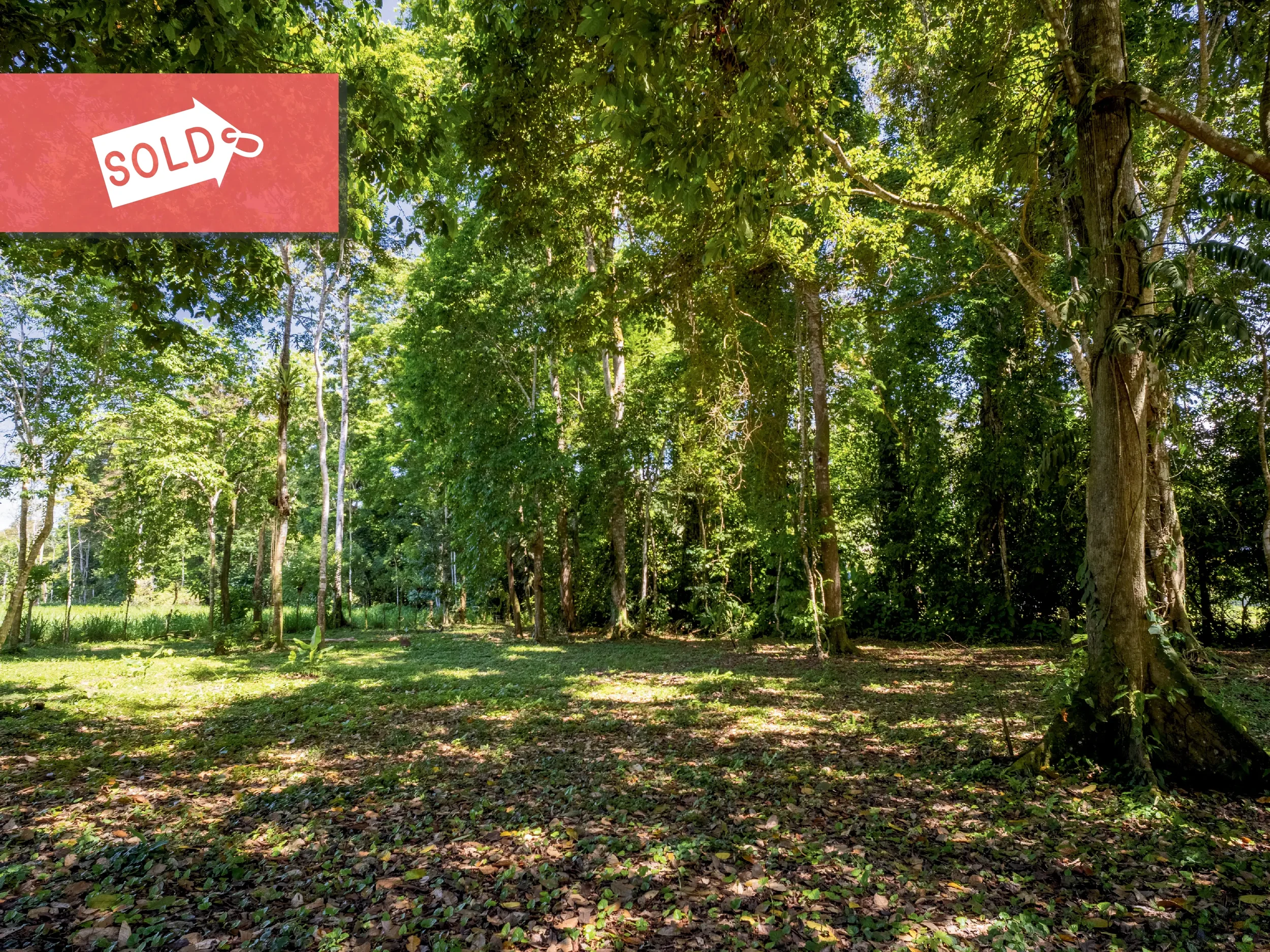 SOLD - Costa Verde Lot 5 - 2,237m² Creekside Titled Lot Near Playa Grande, Cahuita