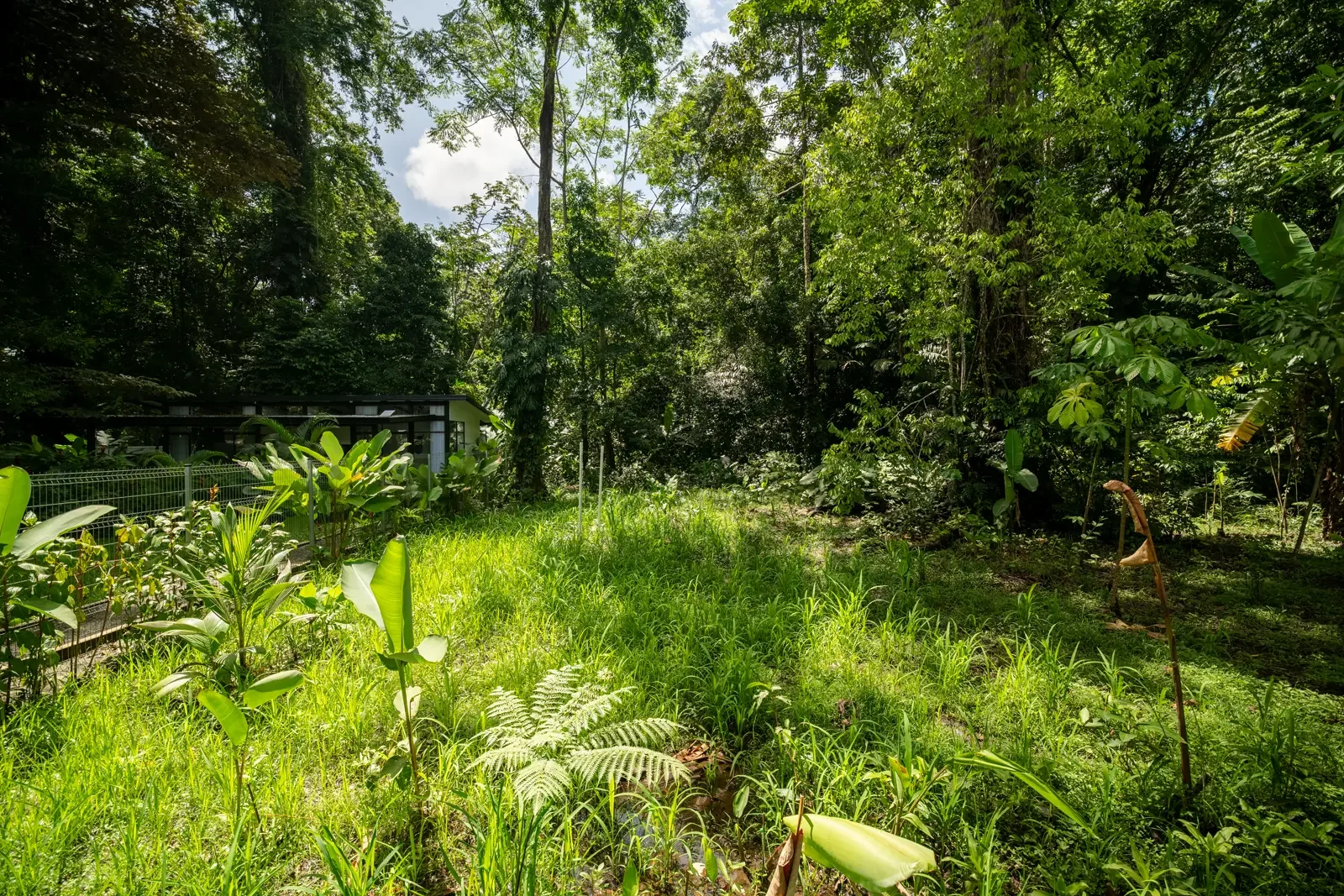 ID 1159 - Website Photos (27).webp