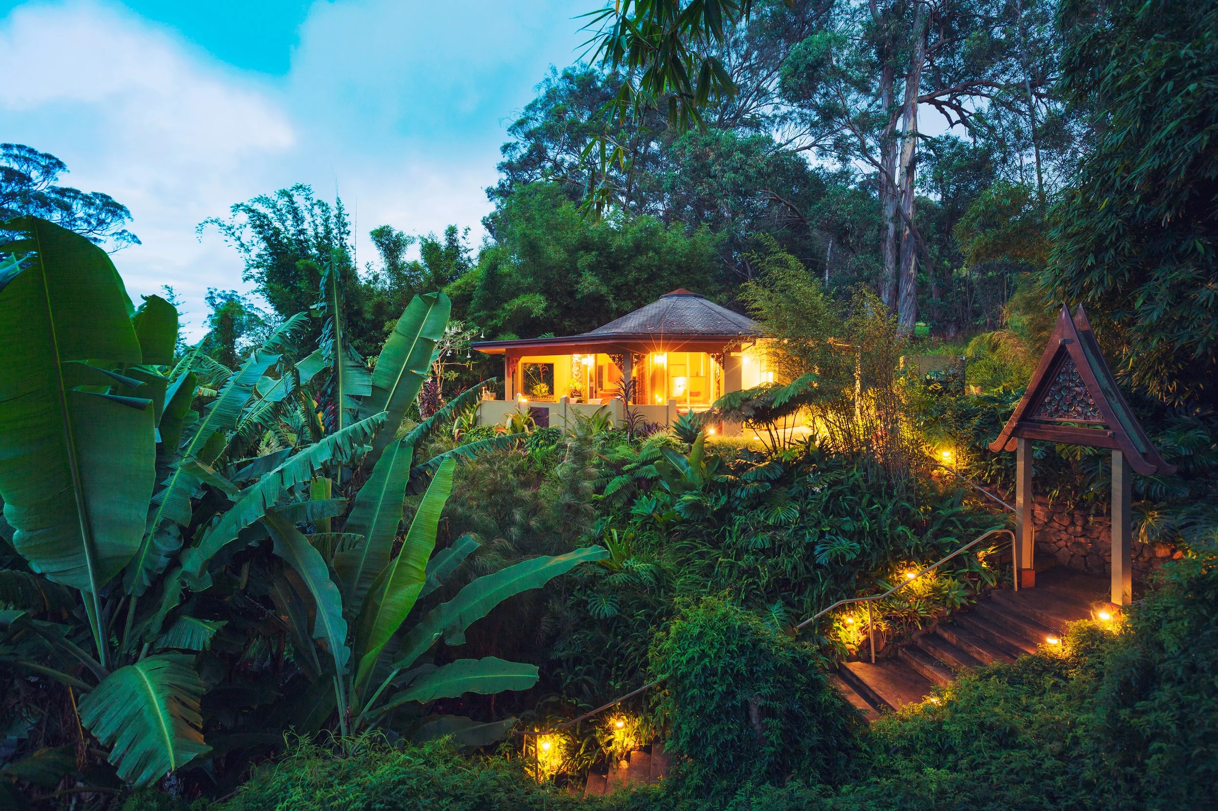 Jungle home surrounded by tropical plants at dusk