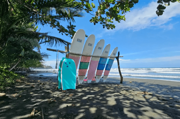 Surfing Boards in Cahuita Beach