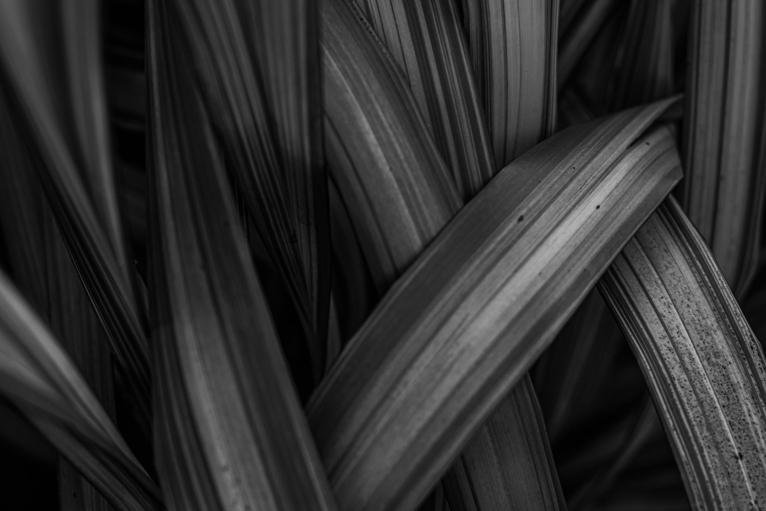 Calming Your Nervous System With Connection