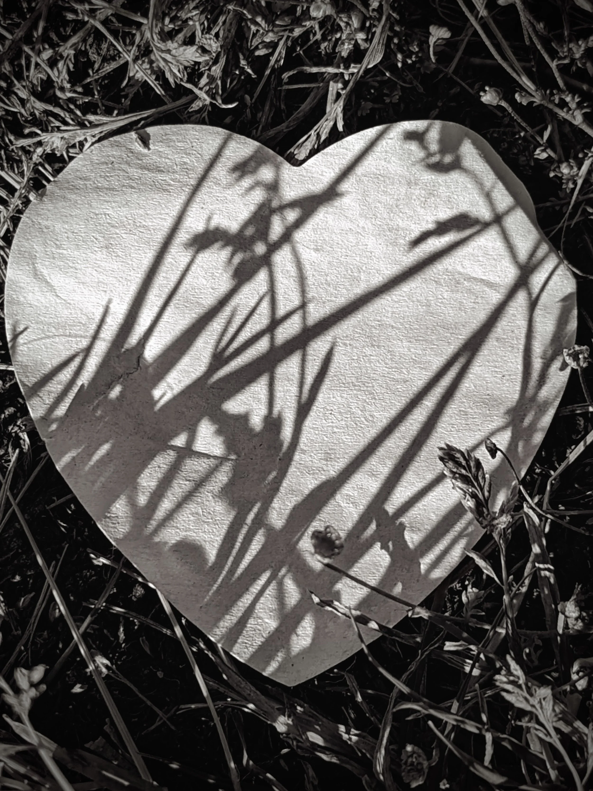 When Empathy Becomes Overwhelm