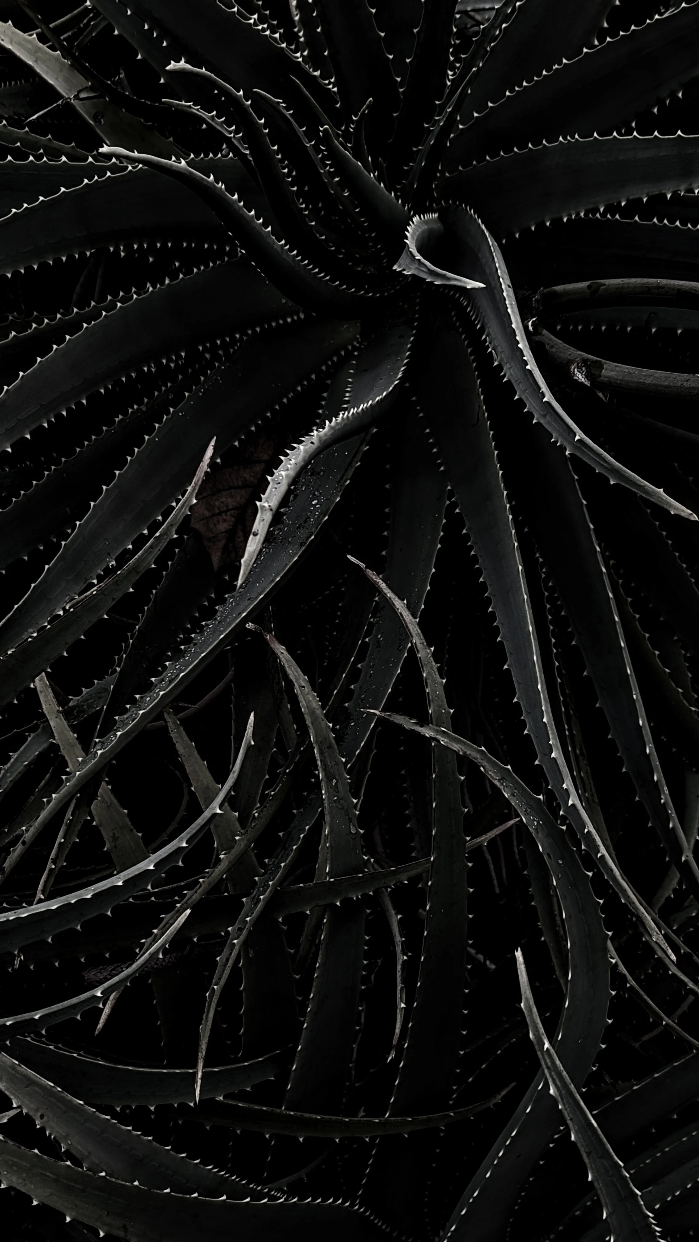 When Your Mind Jumps to the Worst-Case-Scenario