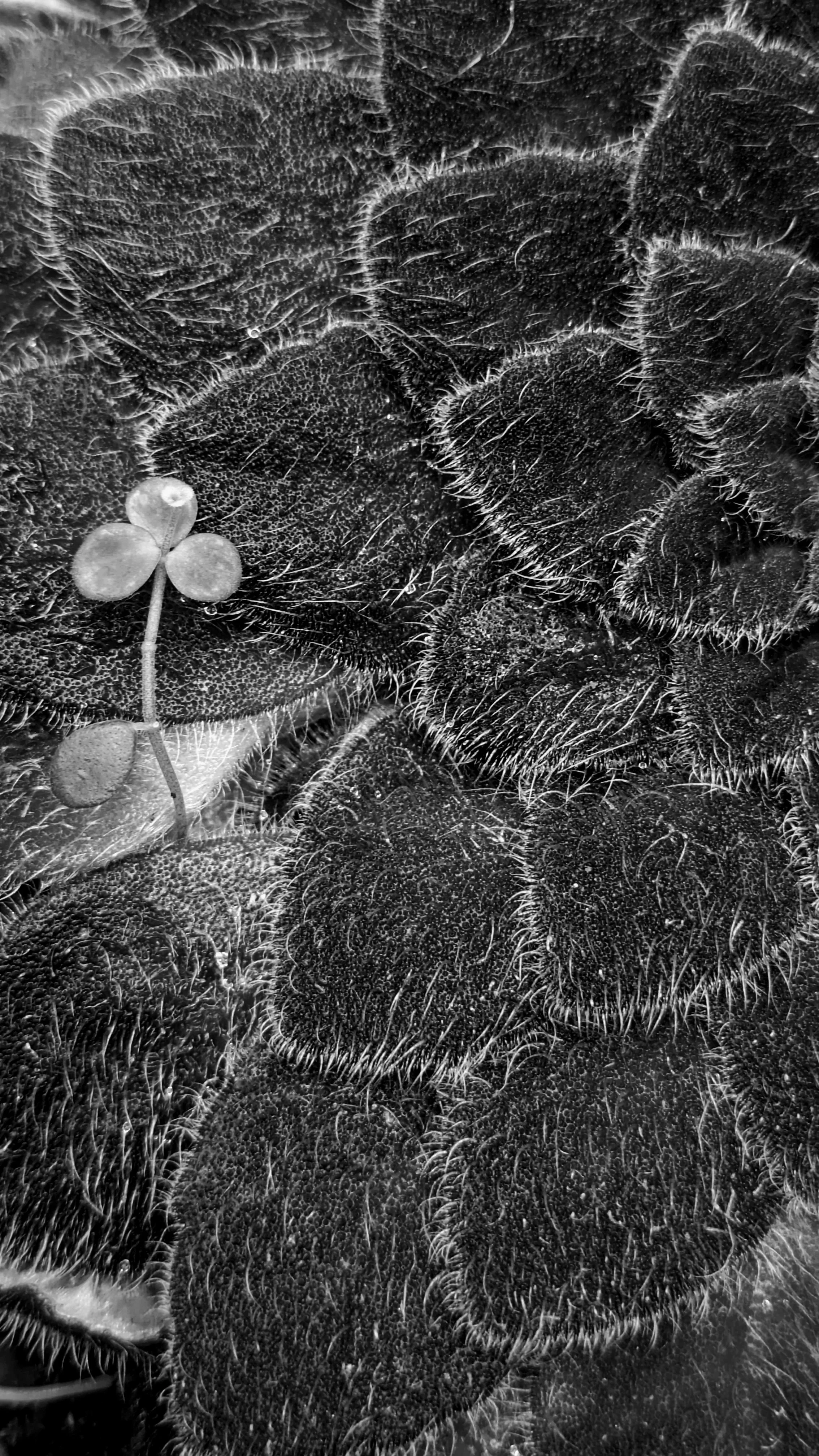 Why Small Mistakes Feel Heavy — and How to Find Balance Again