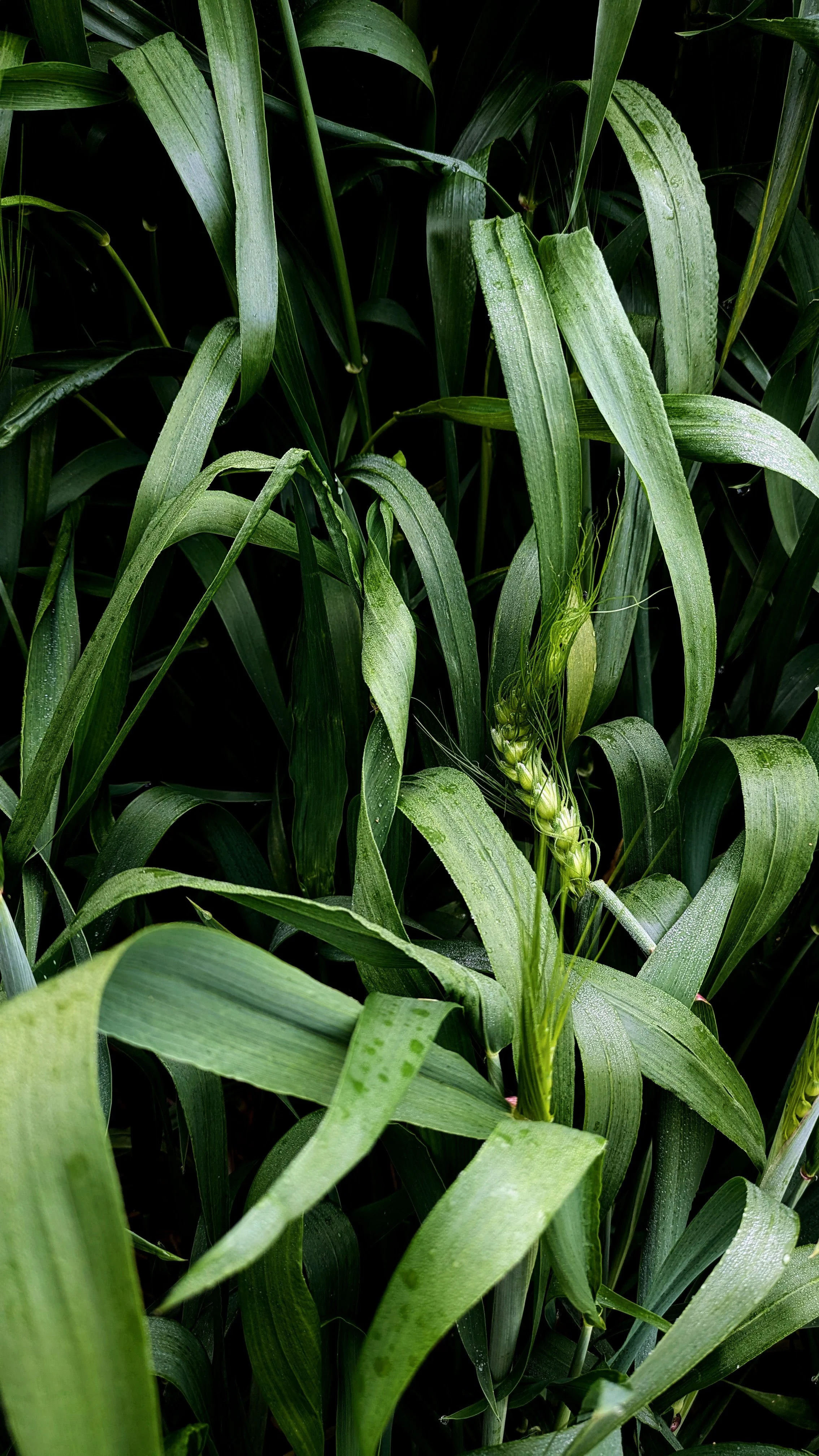 The Hidden Reason Your To-Do List Won’t Let You Rest