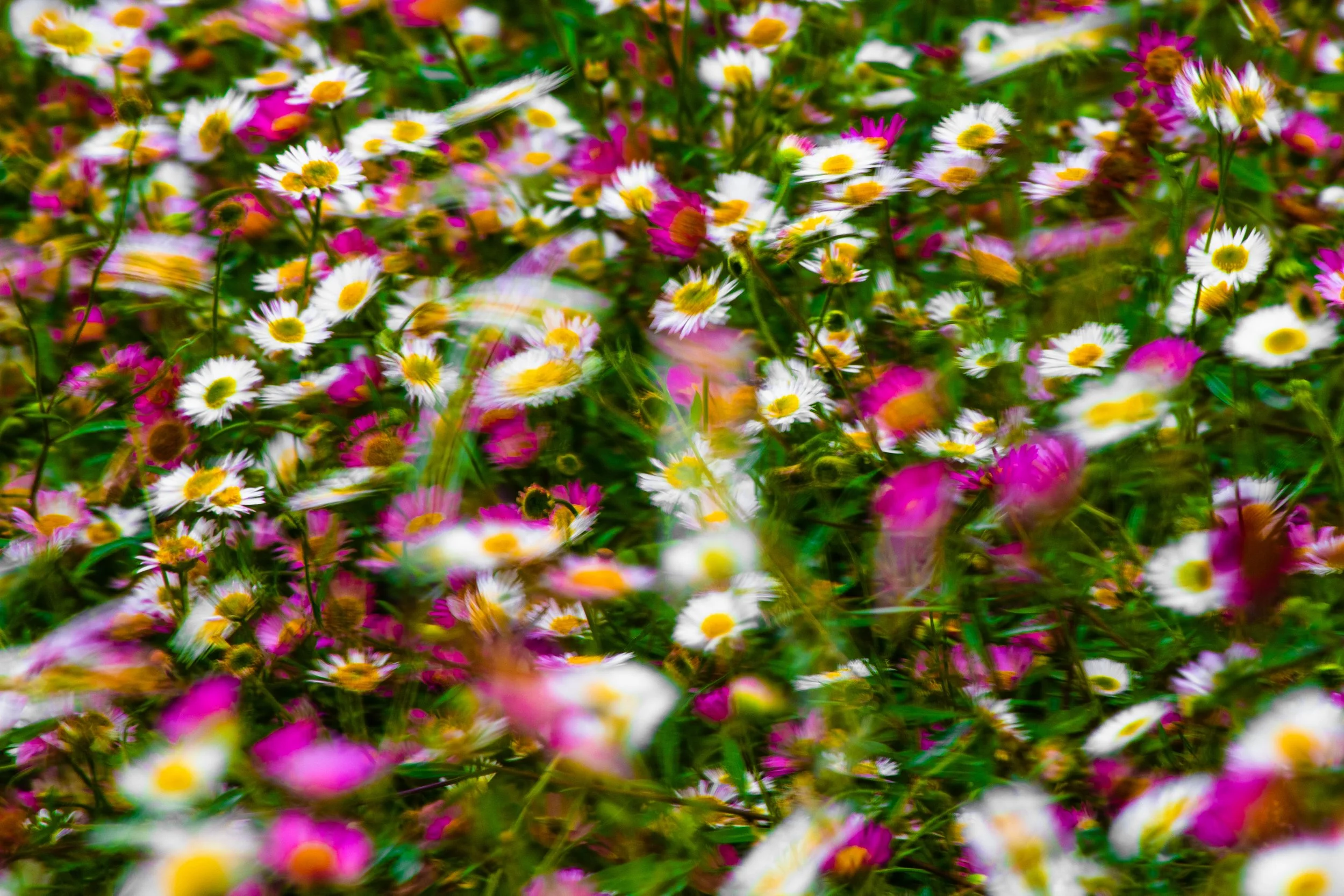 The Beauty of A Busy Mind