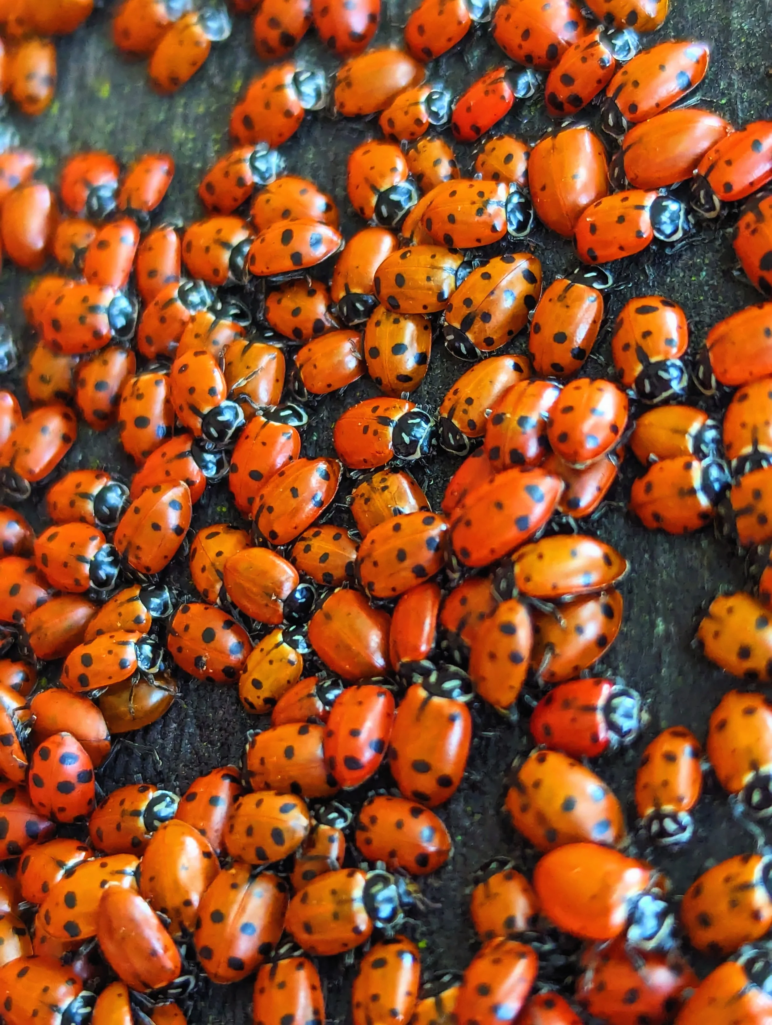 Why We Care So Much About What Others Think