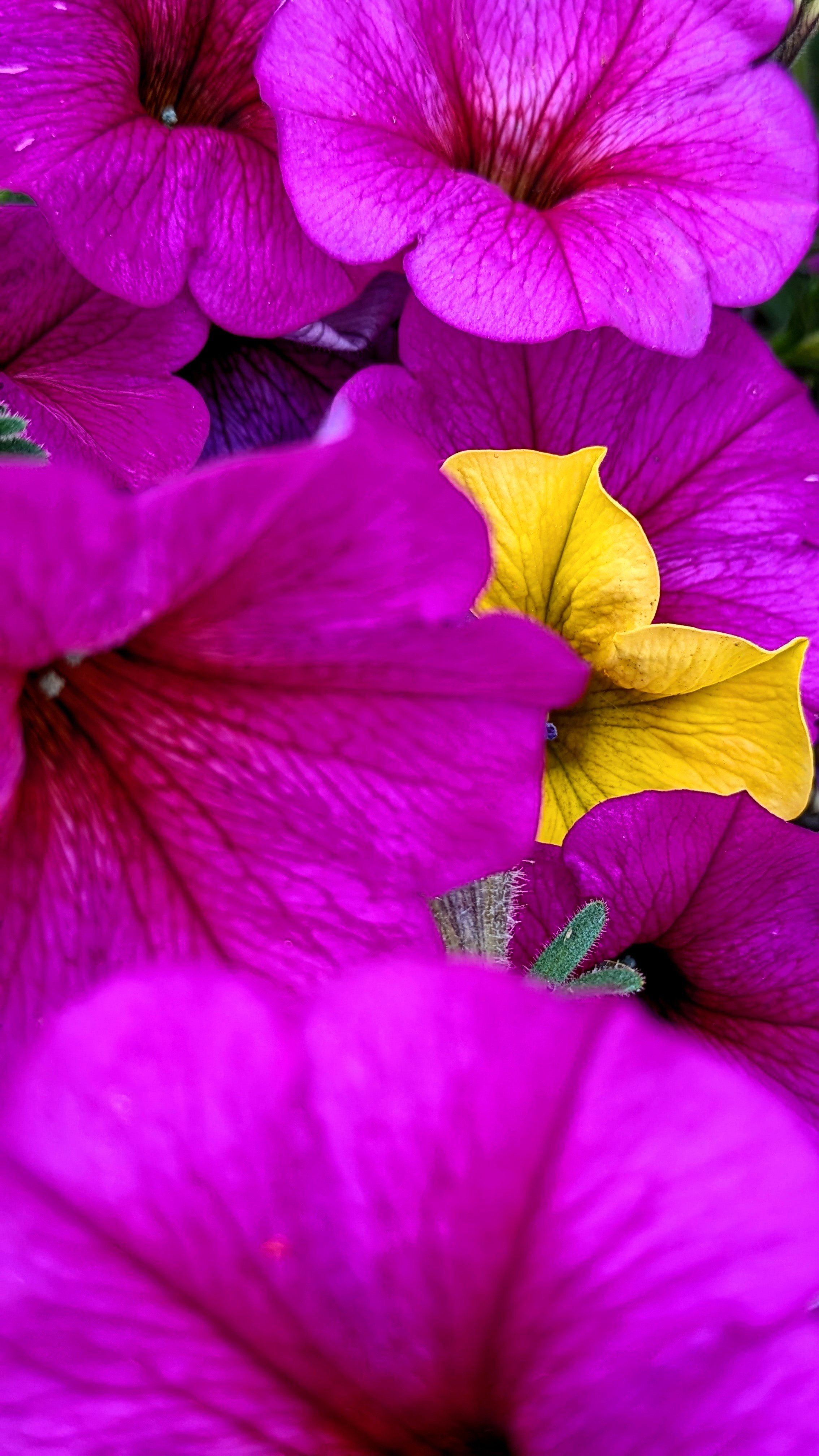 The Inner Critic and the Fear of Not Being Enough