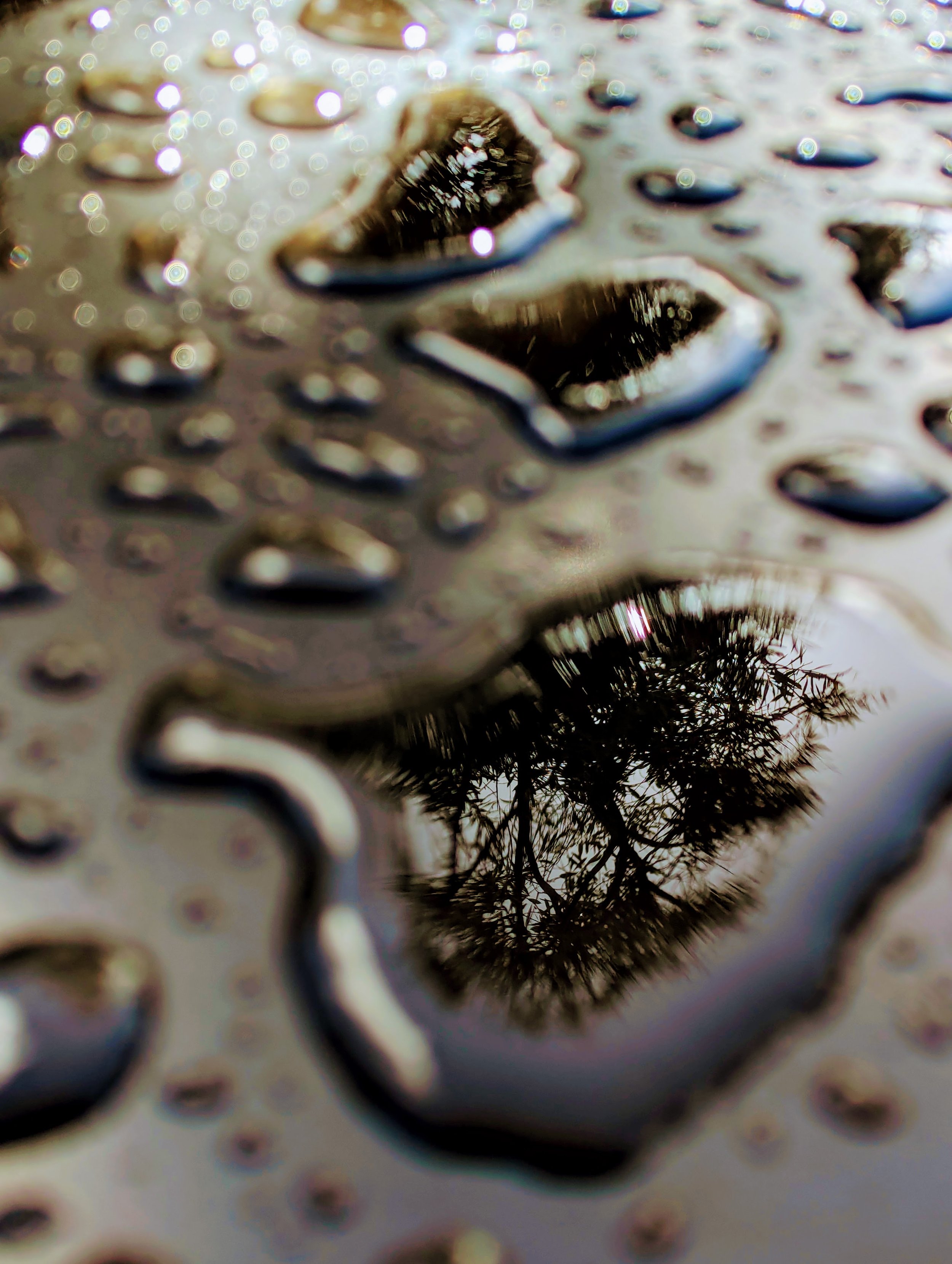 Is It OCD or Anxiety? How to Tell the Difference