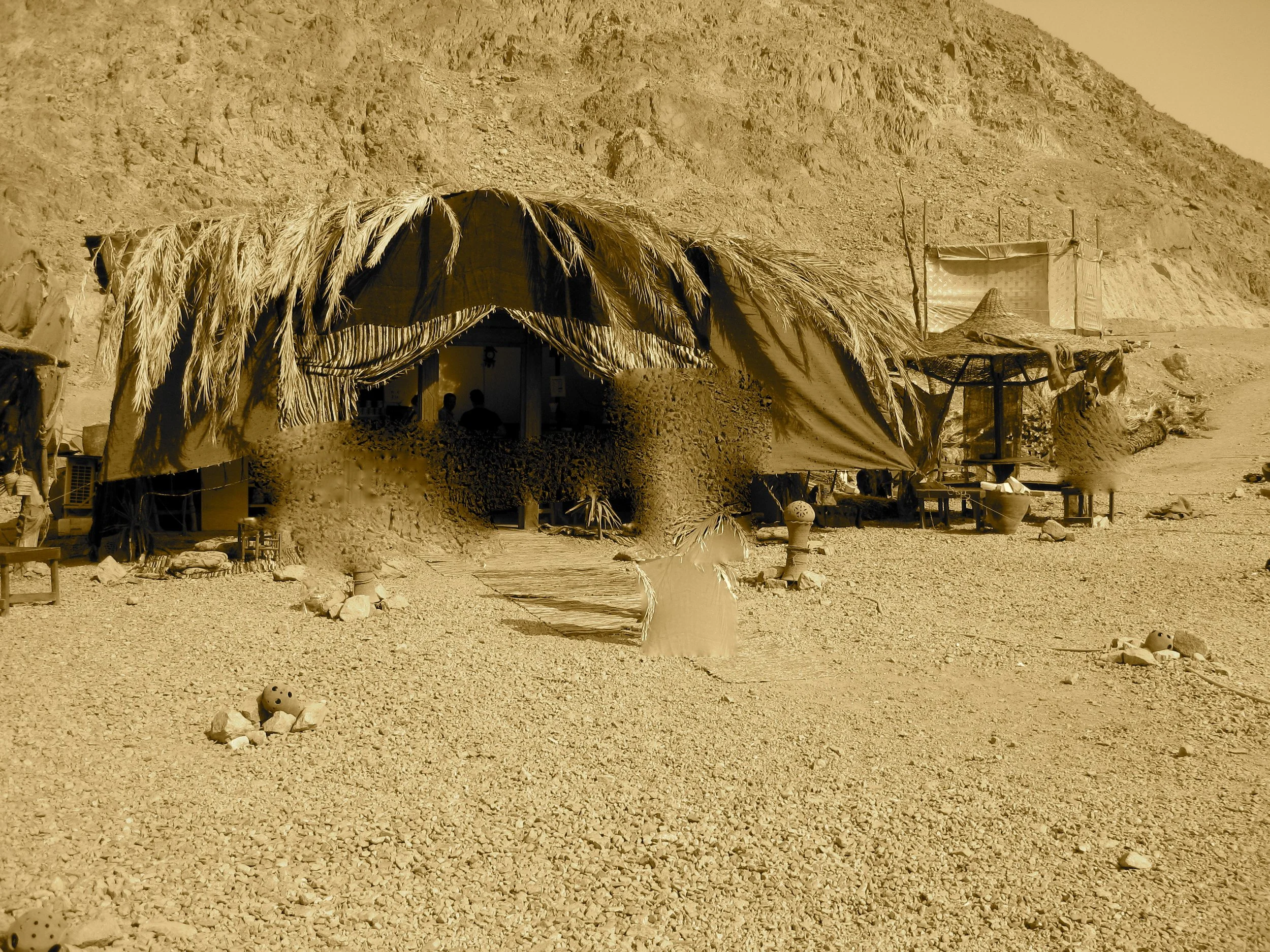 Covenant Four- Moses