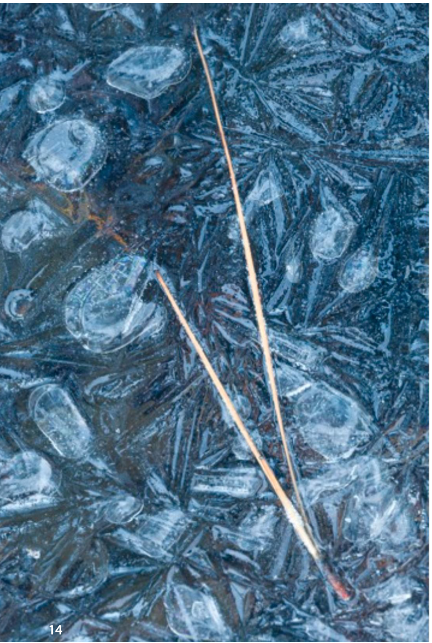 The First Fertility Treatment