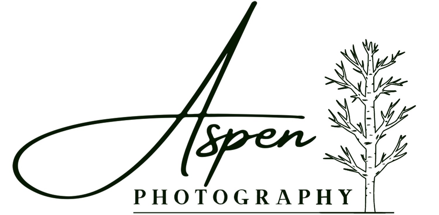 Aspen Photography