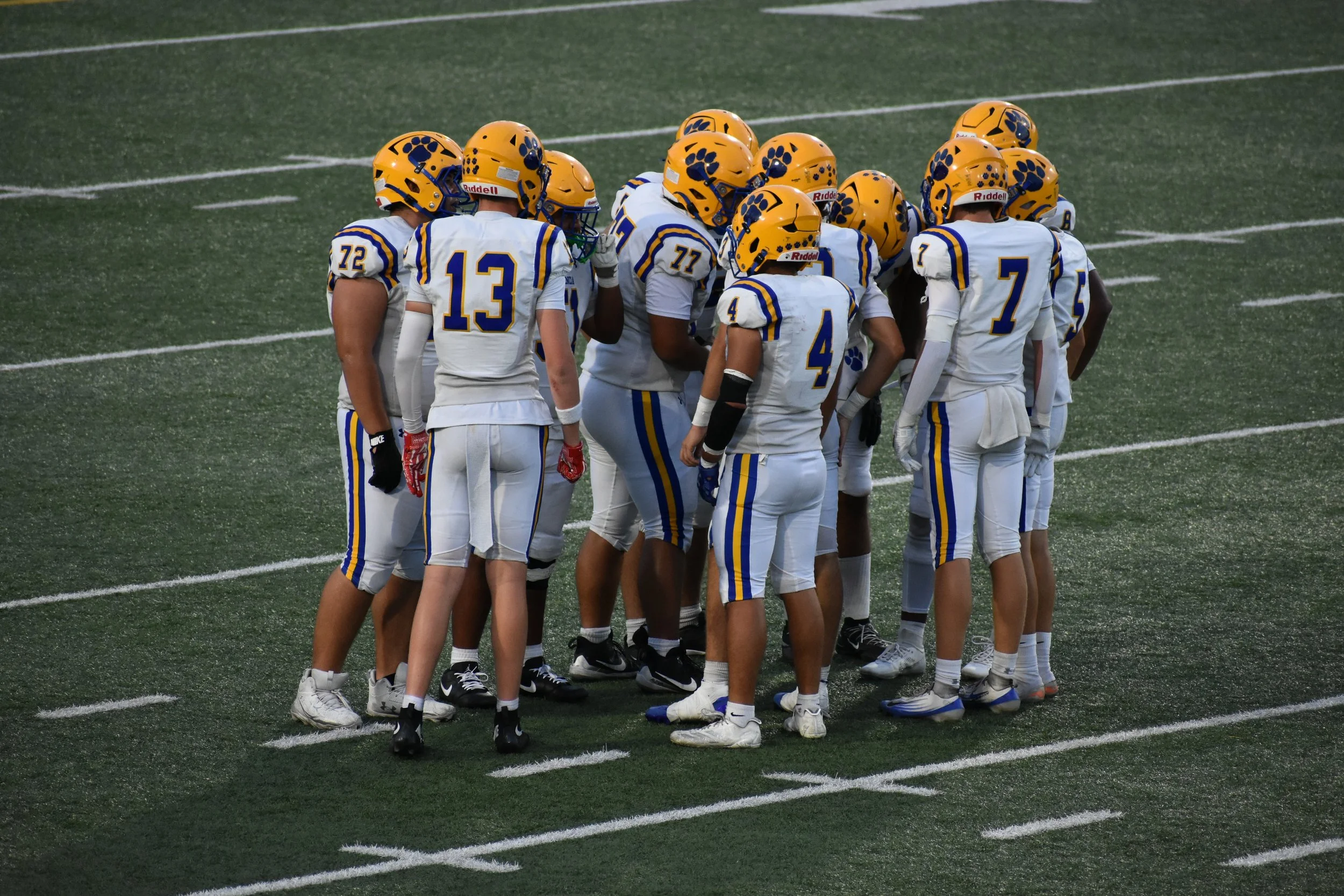 DSC_0041.JPG
