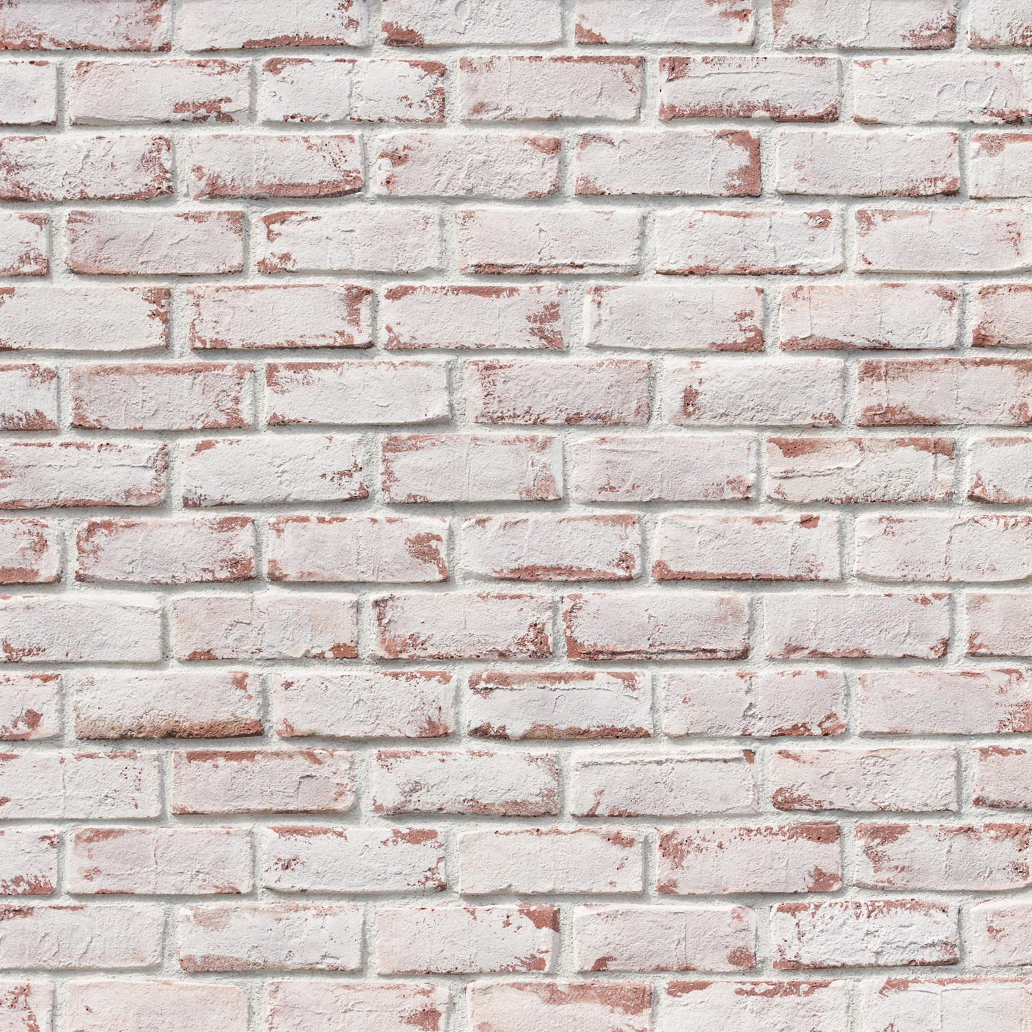 Ghosted Cannery Brick