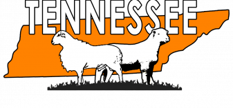 TNSPA.png