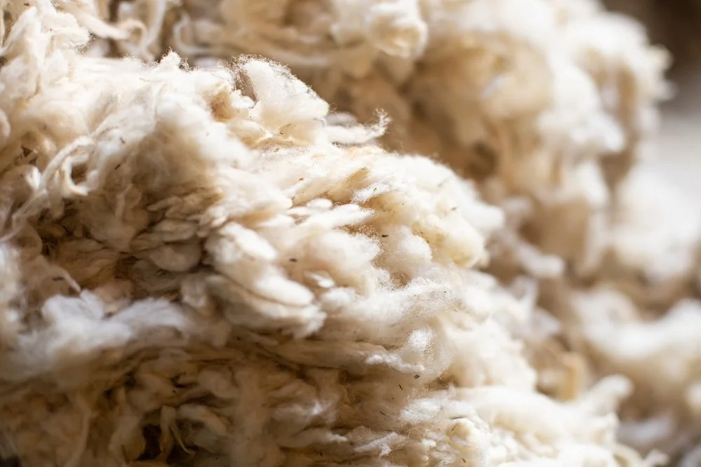 SEFAA Virtual Talk: A Local Lens on Sustainable Textiles