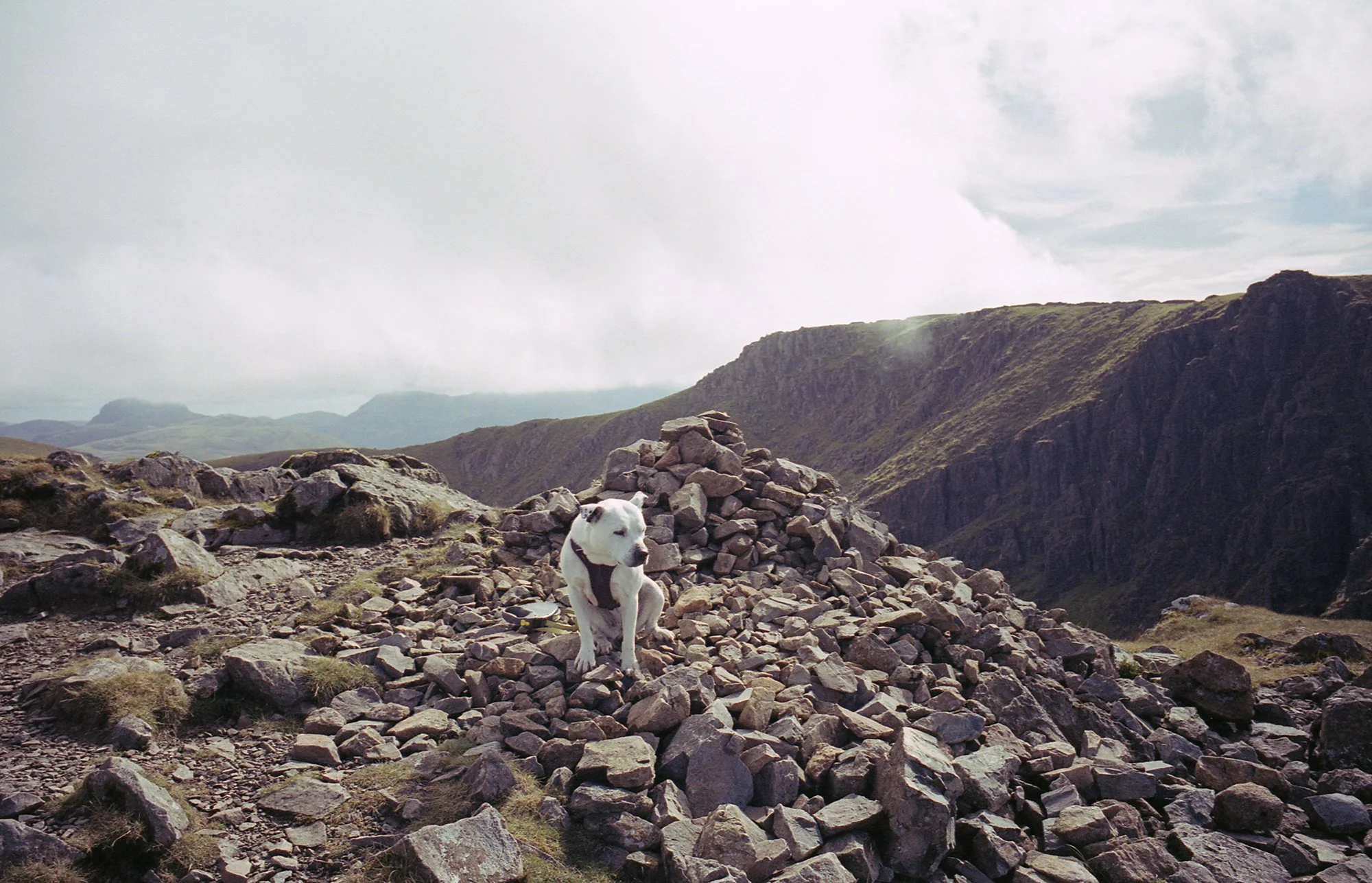 our final trip together