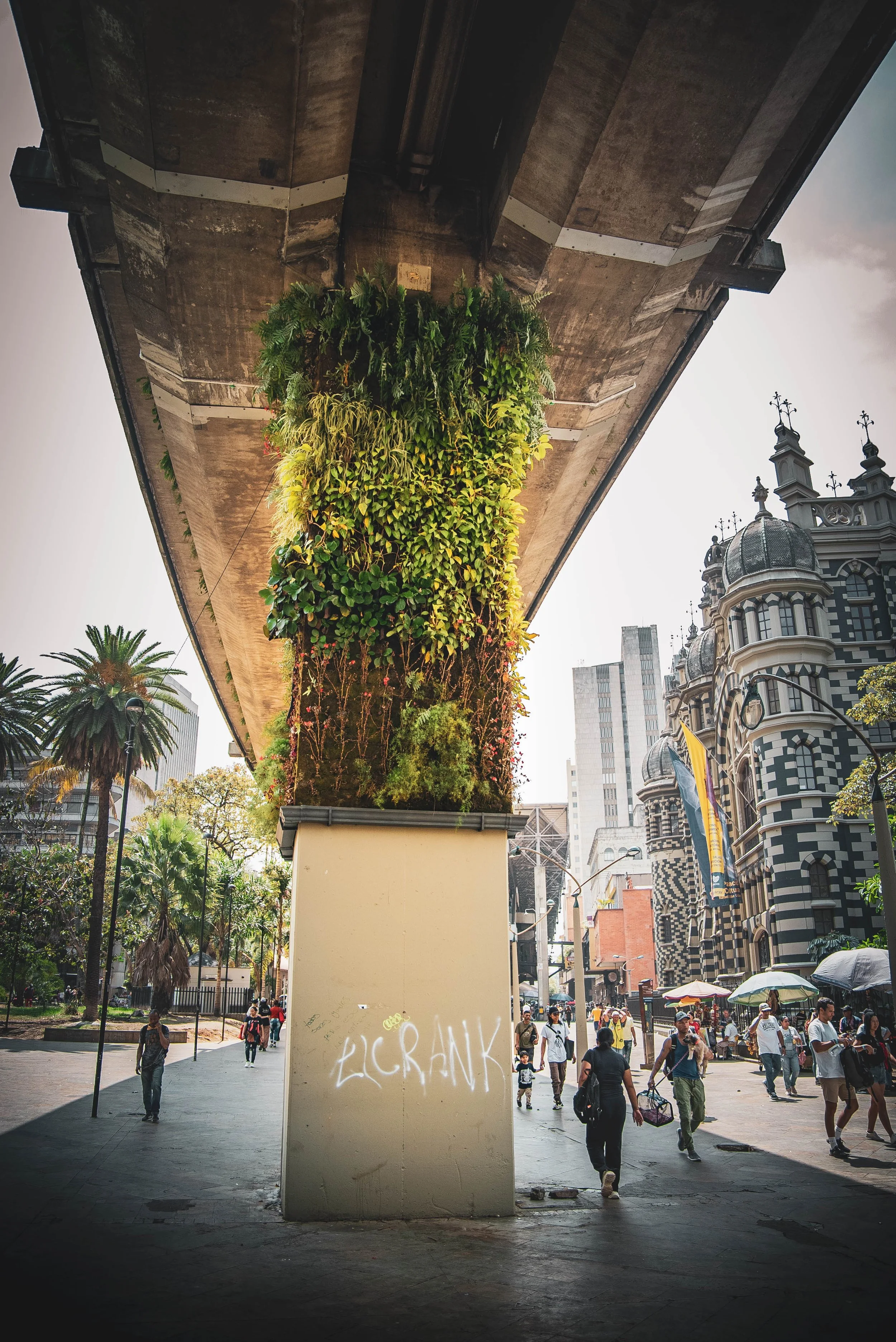 Medellin-16.jpeg