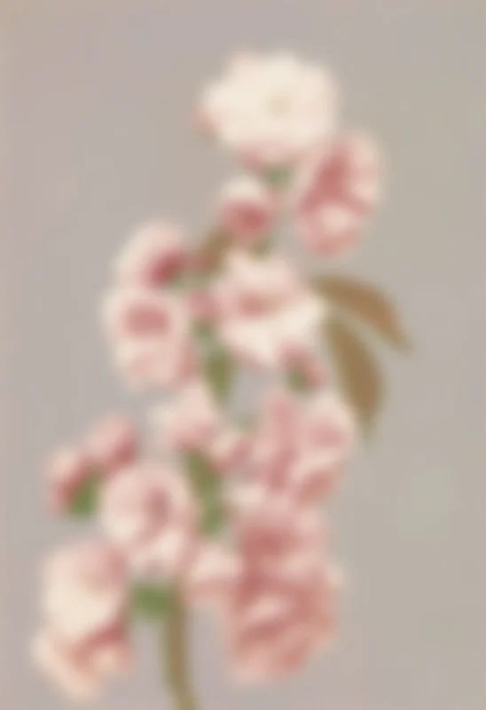 Blurred image of pink and white flowers with green leaves.