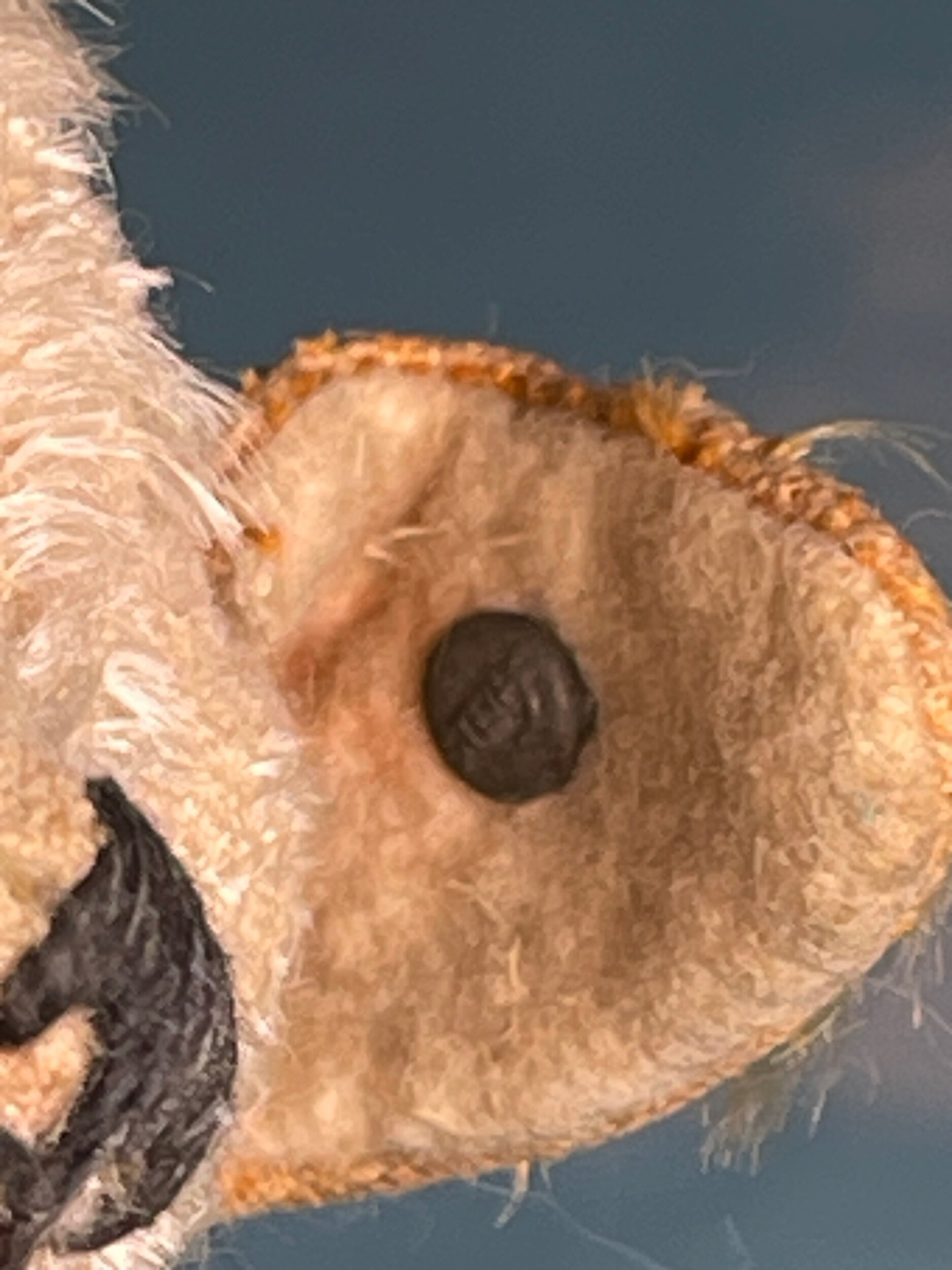 8B9C3698-03AB-4A7A-B9F8-8896719E82C6