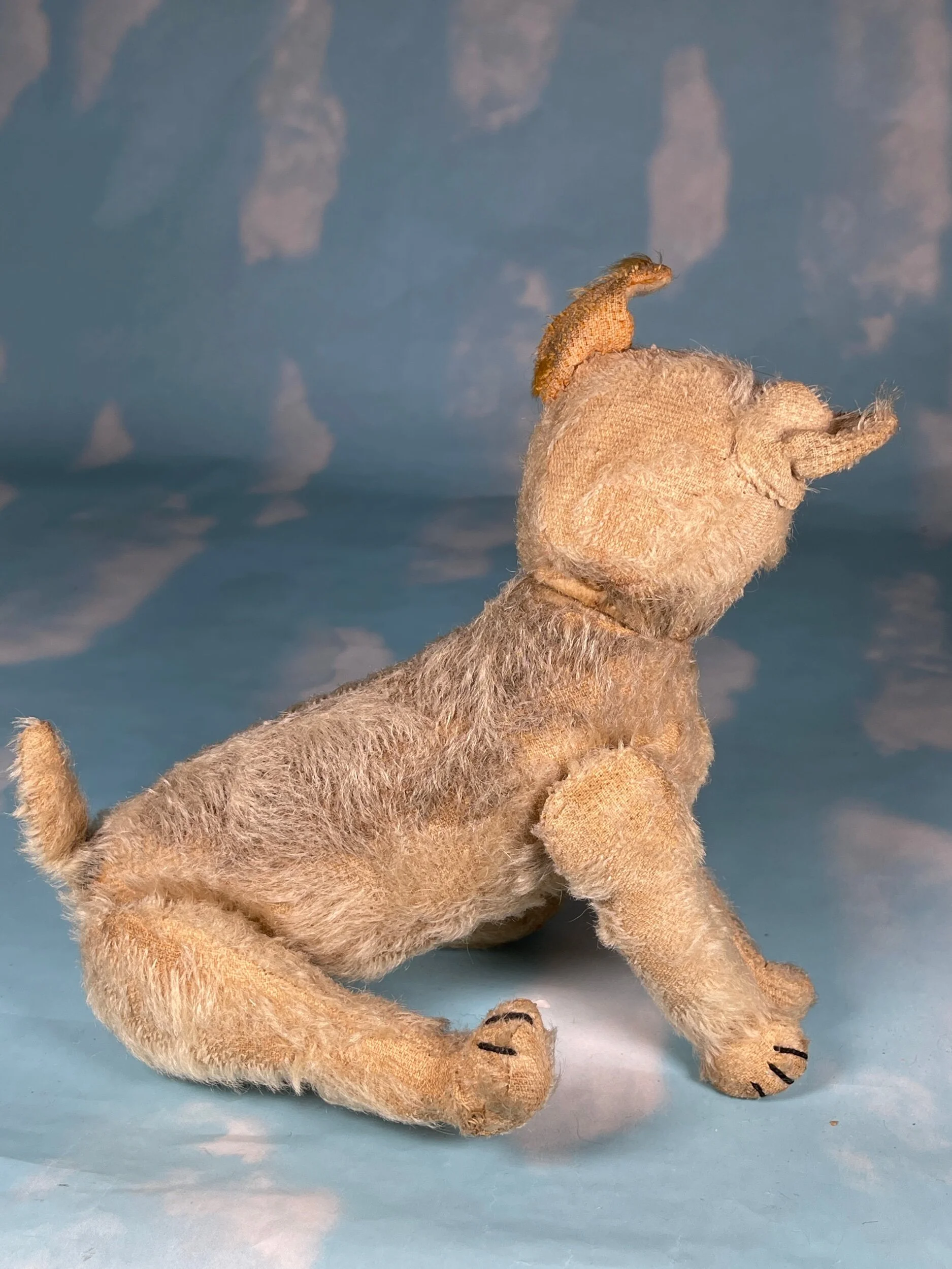 8AF1FD07-0CC9-4823-9188-84F1AF703717