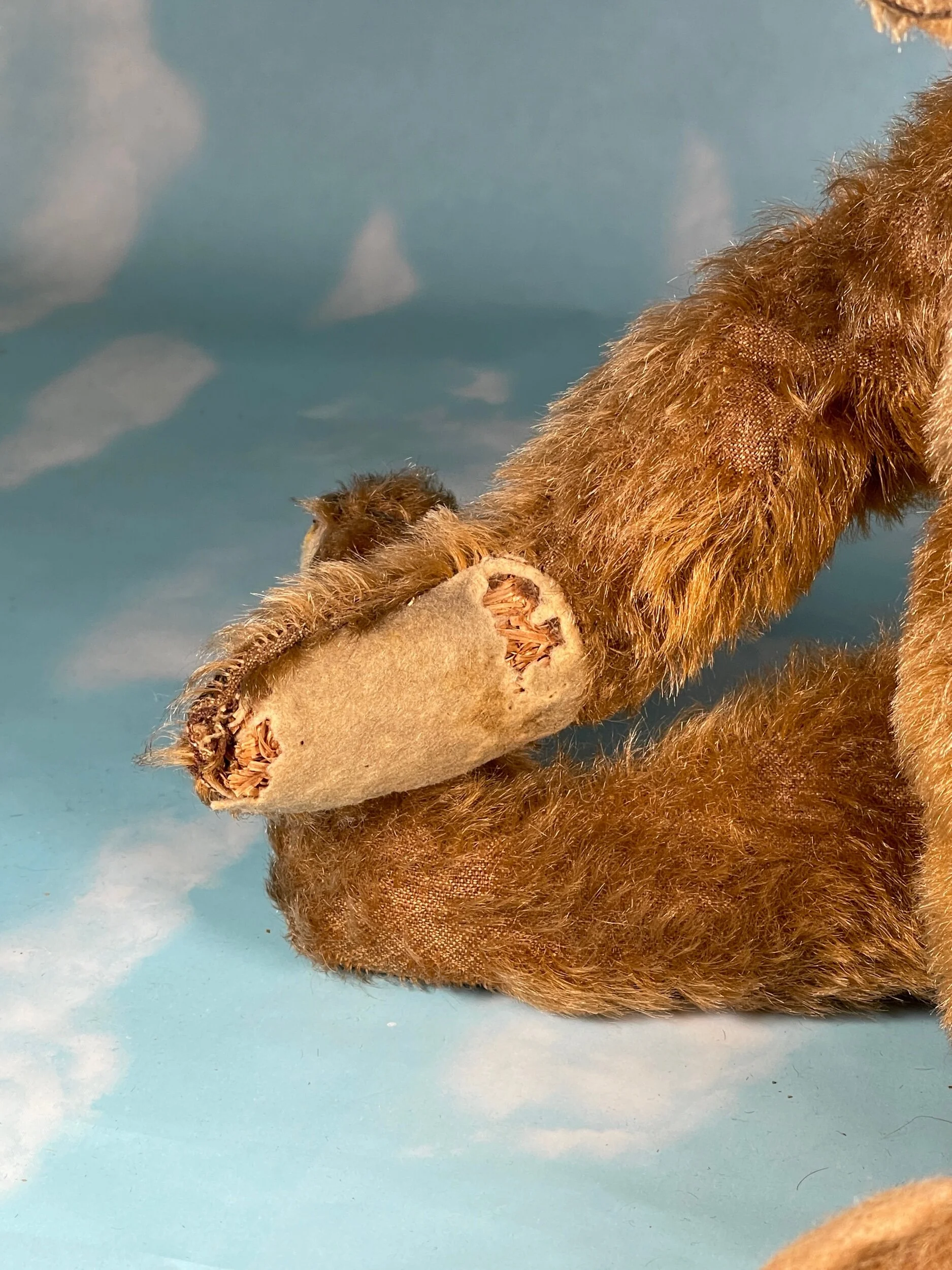 BED12ACA-4588-4217-B06F-B860A156867D