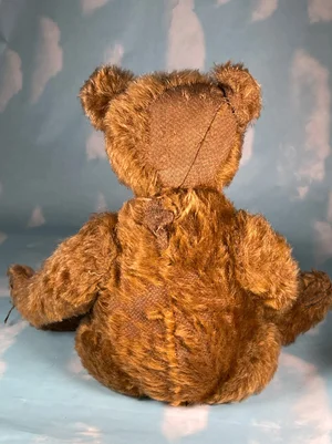Antique Steiff Teddy bear Cinnamon 1907-10 — The Port Collection