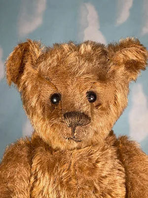 Antique Steiff Teddy bear Cinnamon 1907-10 — The Port Collection