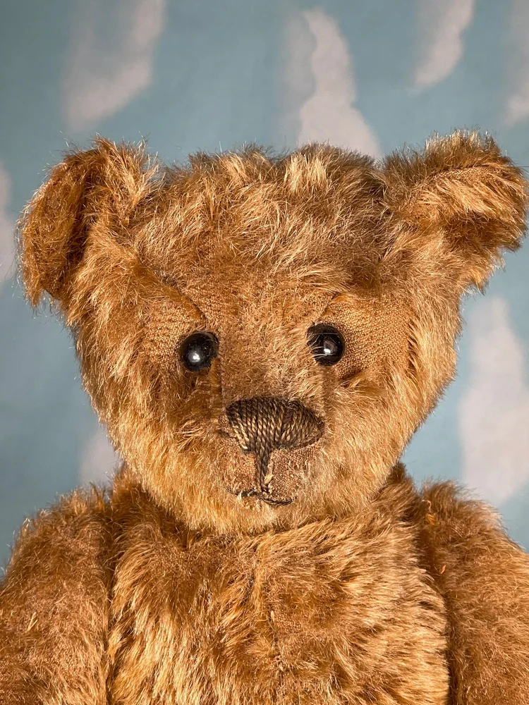 Antique Steiff Teddy bear Cinnamon 1907-10 — The Port Collection