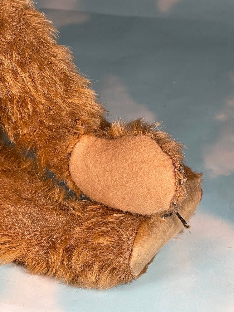 Antique Steiff Teddy bear Cinnamon 1907-10 — The Port Collection