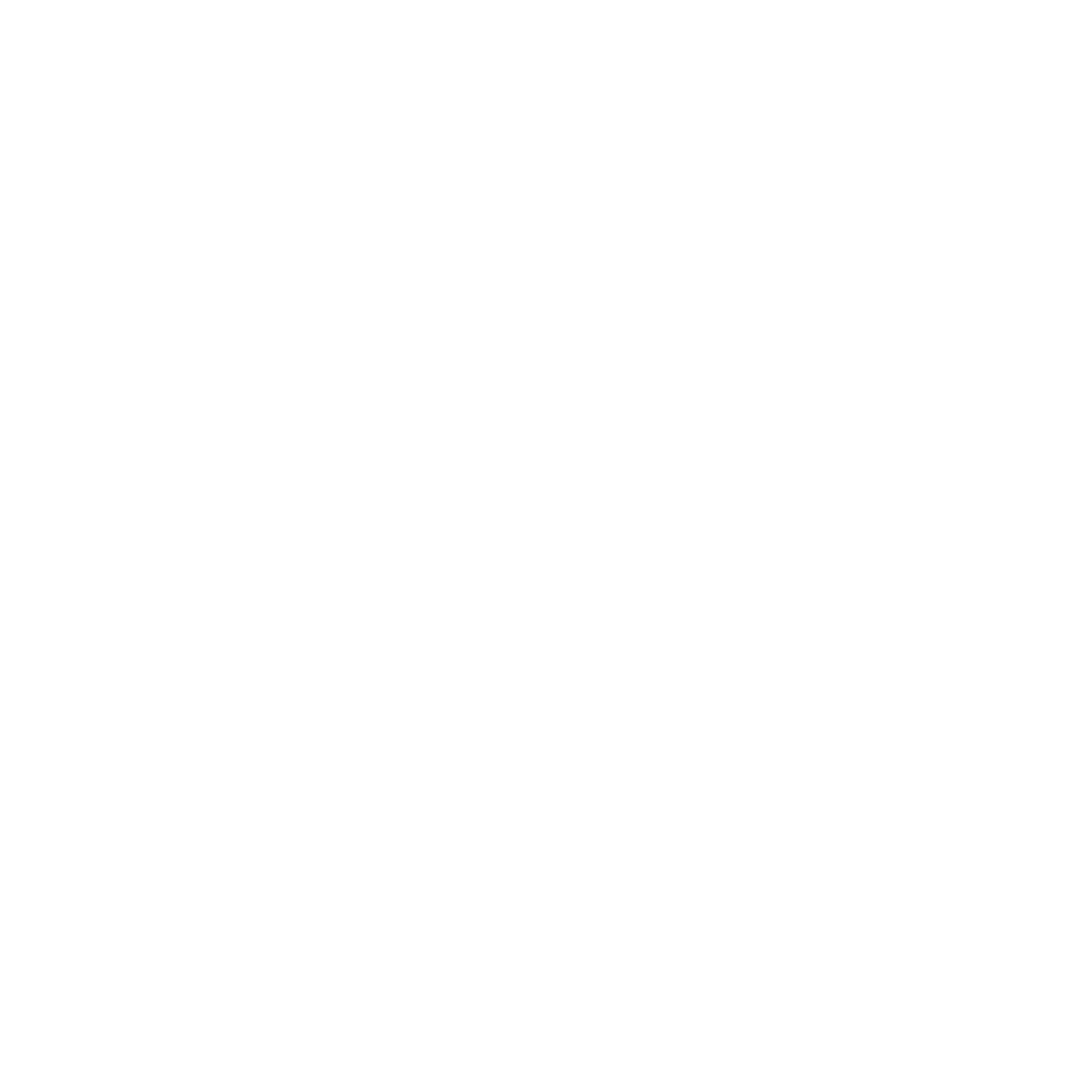 Julia Ramirez - 12th Ward Alderwoman