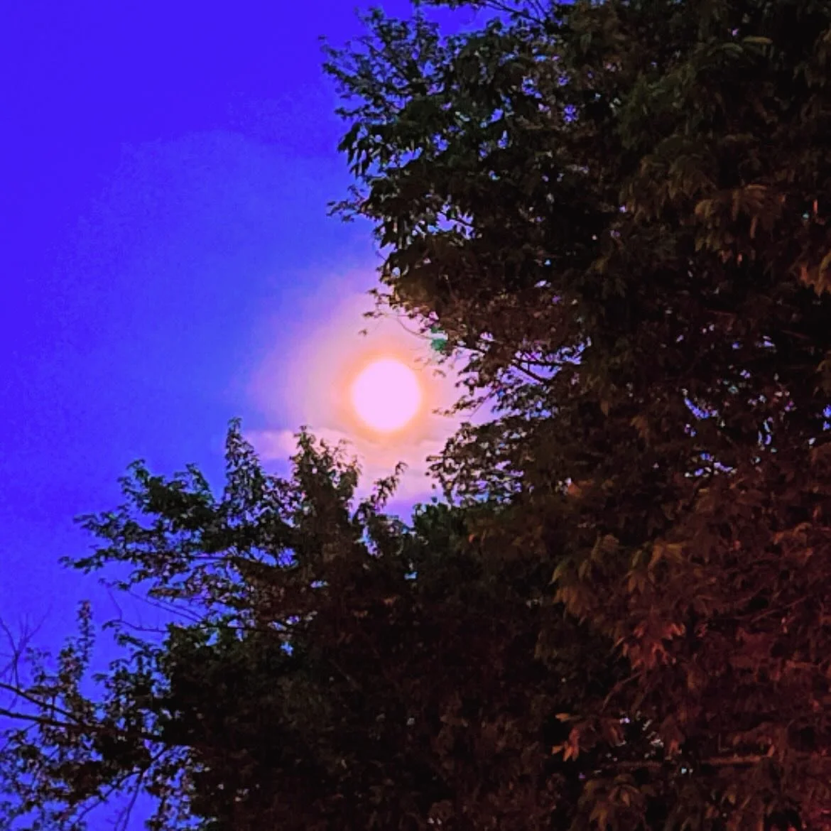 Strawberry Full Moon in Sagittarius | 6.11.25

This moon isn&rsquo;t here to fix anything. It&rsquo;s here to help you stop pretending things still work when they don&rsquo;t. The habits. The coping. The stuff that used to feel so sweet &mdash; and n