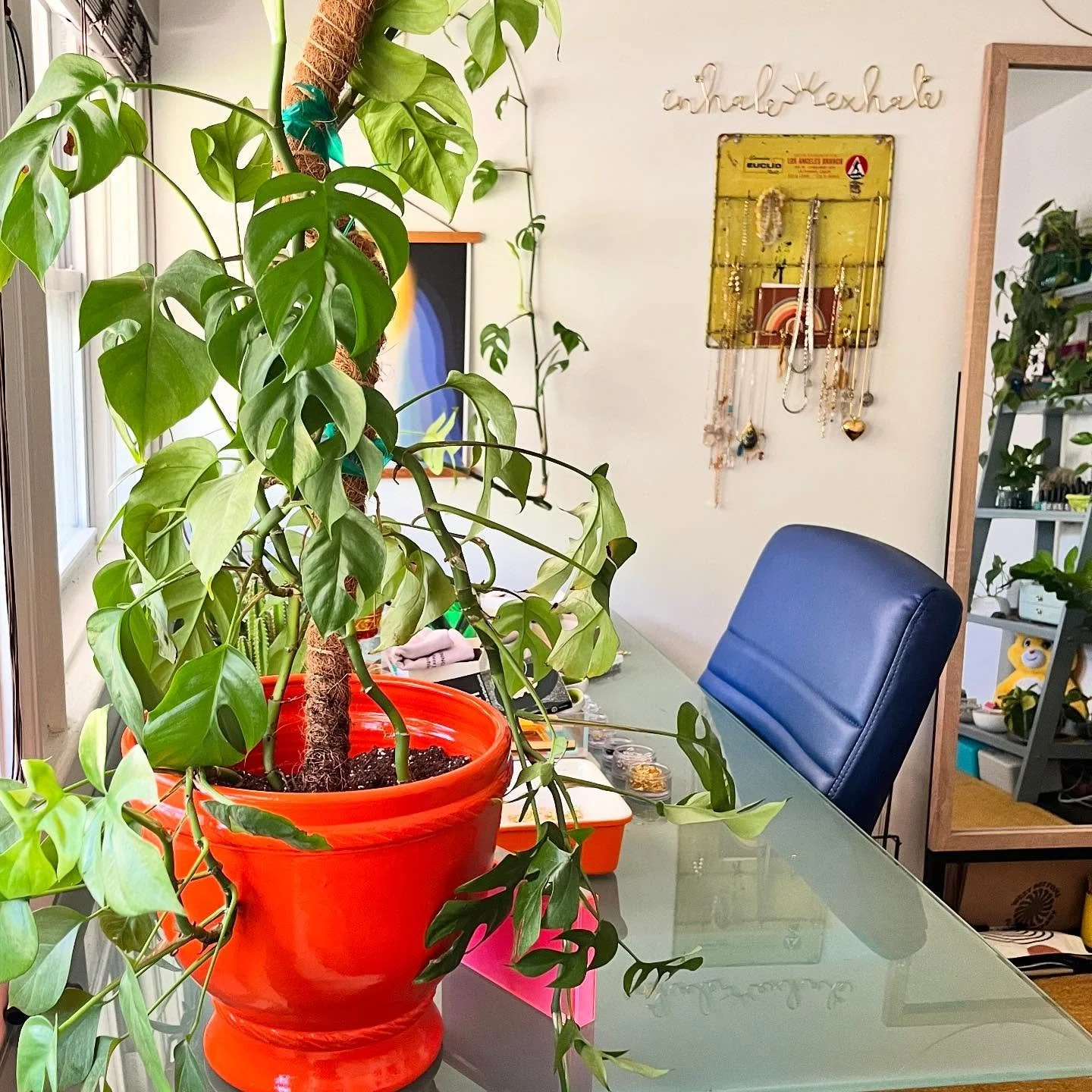 I&rsquo;ve been wanting to repot my plants for weeksssssss and finally did it today! This first pic is my favorite plant. I&rsquo;m so in love with the orange pot too! 🥰 

The next couple pics are all the plants I re-potted today, before I moved the