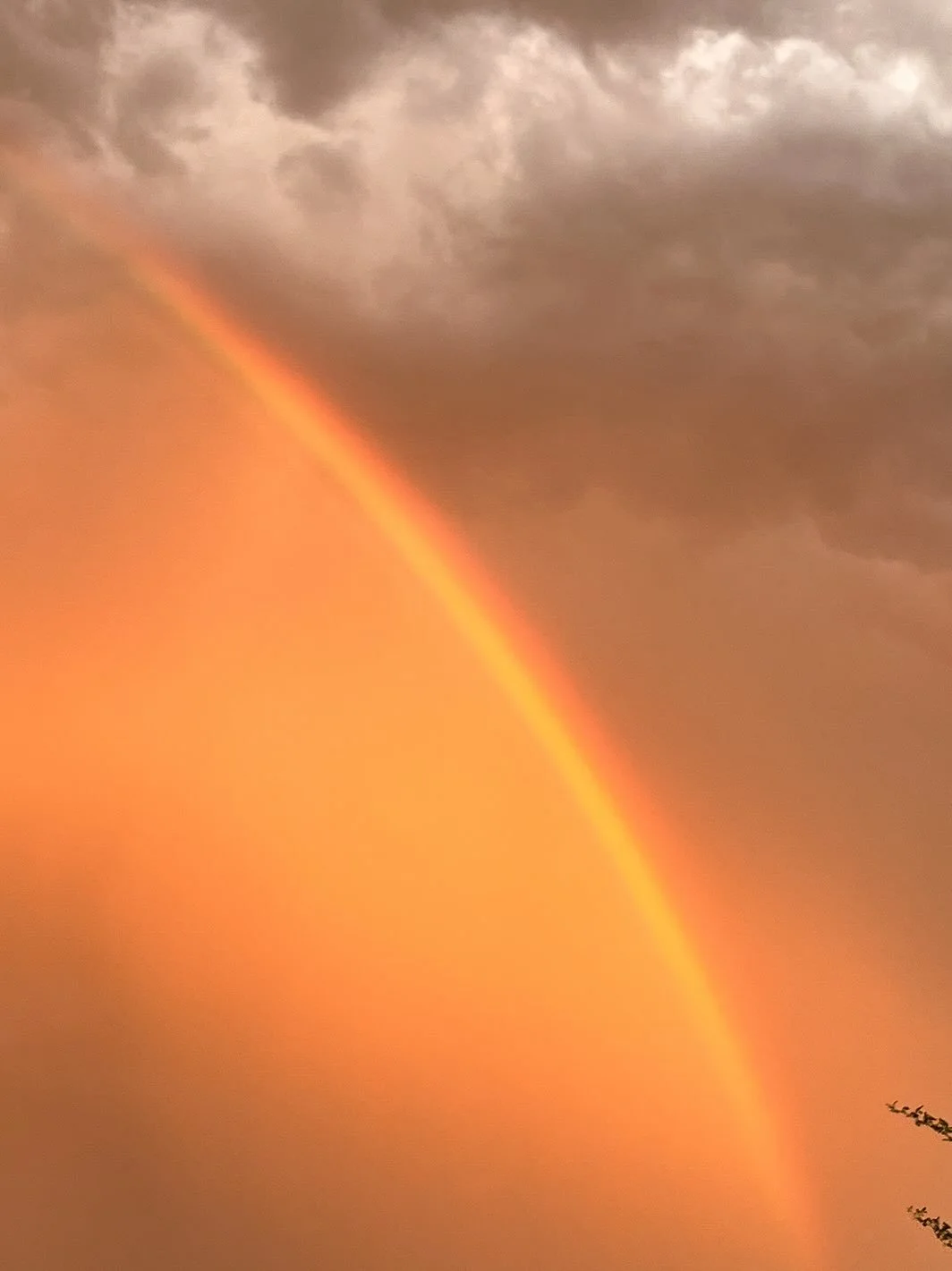 Monsoon Season in Phoenix - what a gorgeous sky last night!! 🌈 ✨🫶 

#doublerainbows #monsoonmagic #phoenixlife #desertmagic
