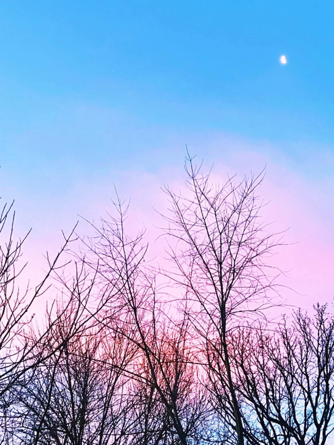 There is something romantic about seeing the moon in the morning, especially when it&rsquo;s alongside pink skies 🥰 

Per usual - early morning yoga has me in my feels ✨