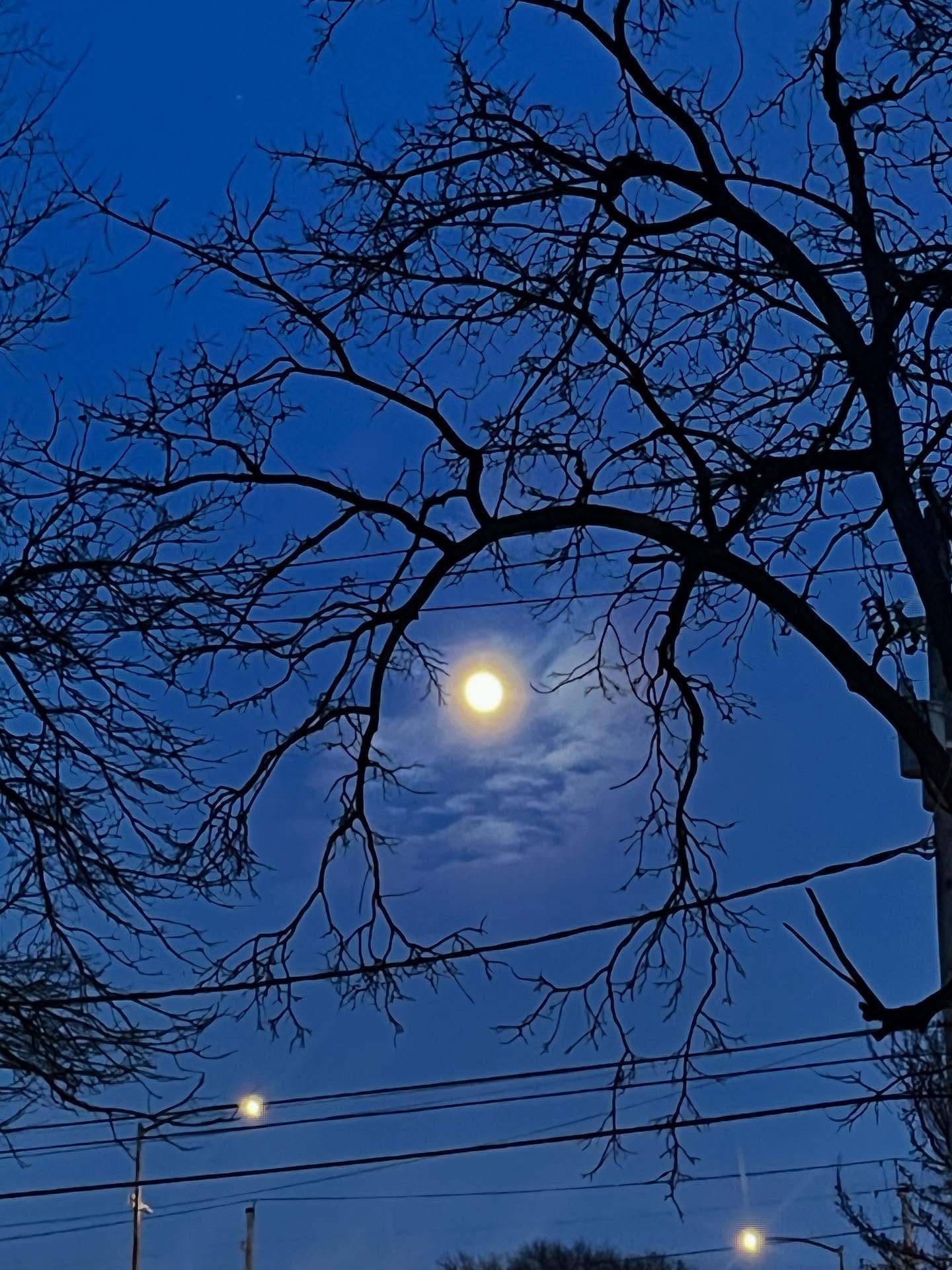 🫶 Cozy Moments: Faves &amp; Saves ✨