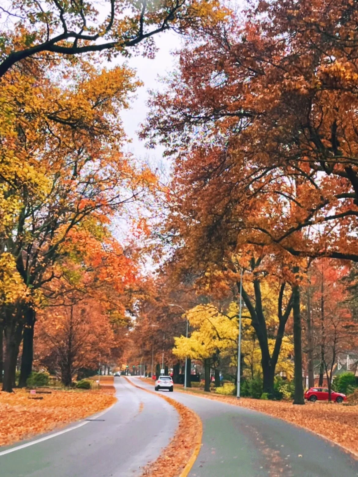 ✨ Little Things | November ✨