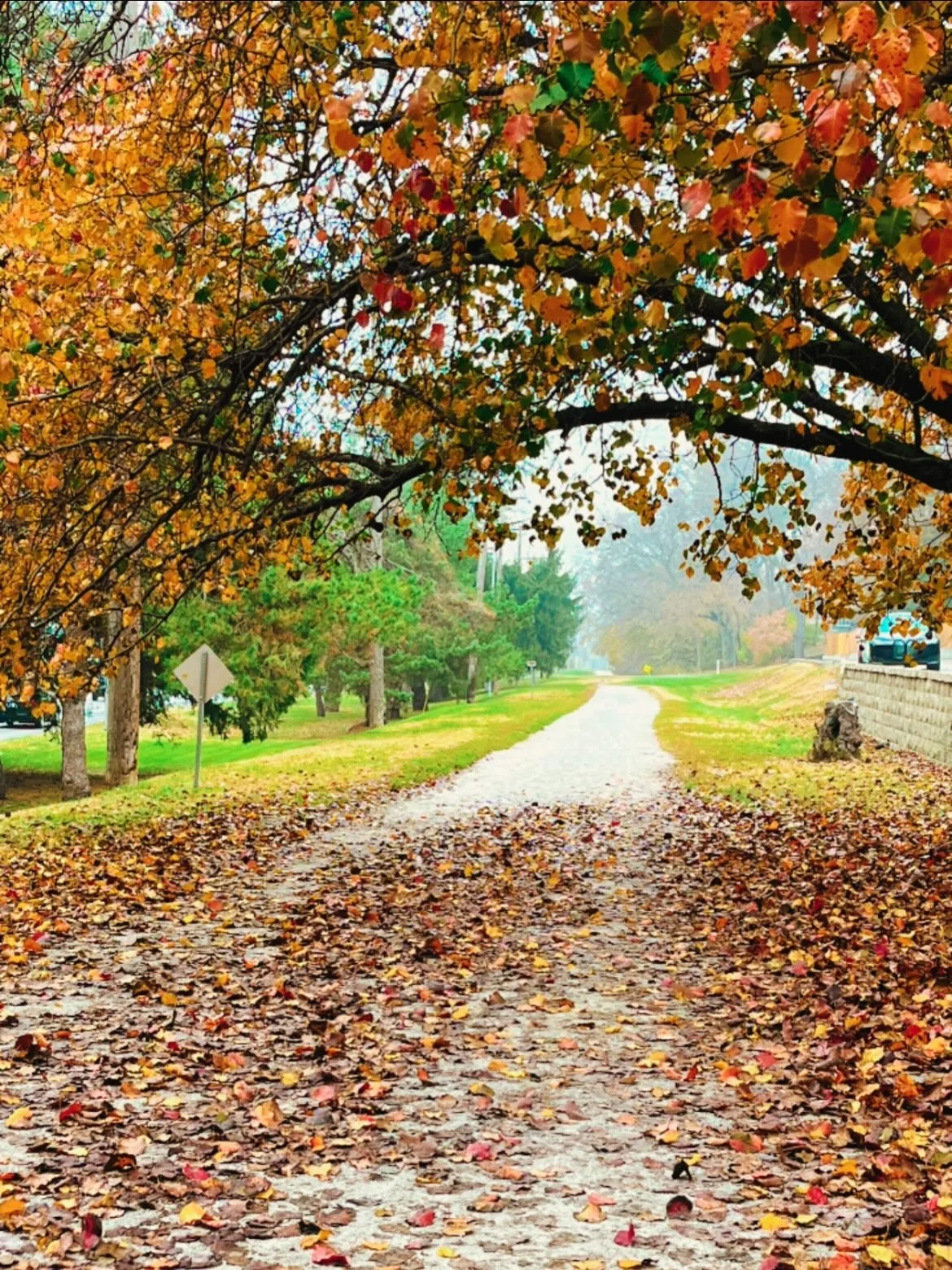 This gorgeous misty morning walk deserved its own post! A magical fall morning 🥰