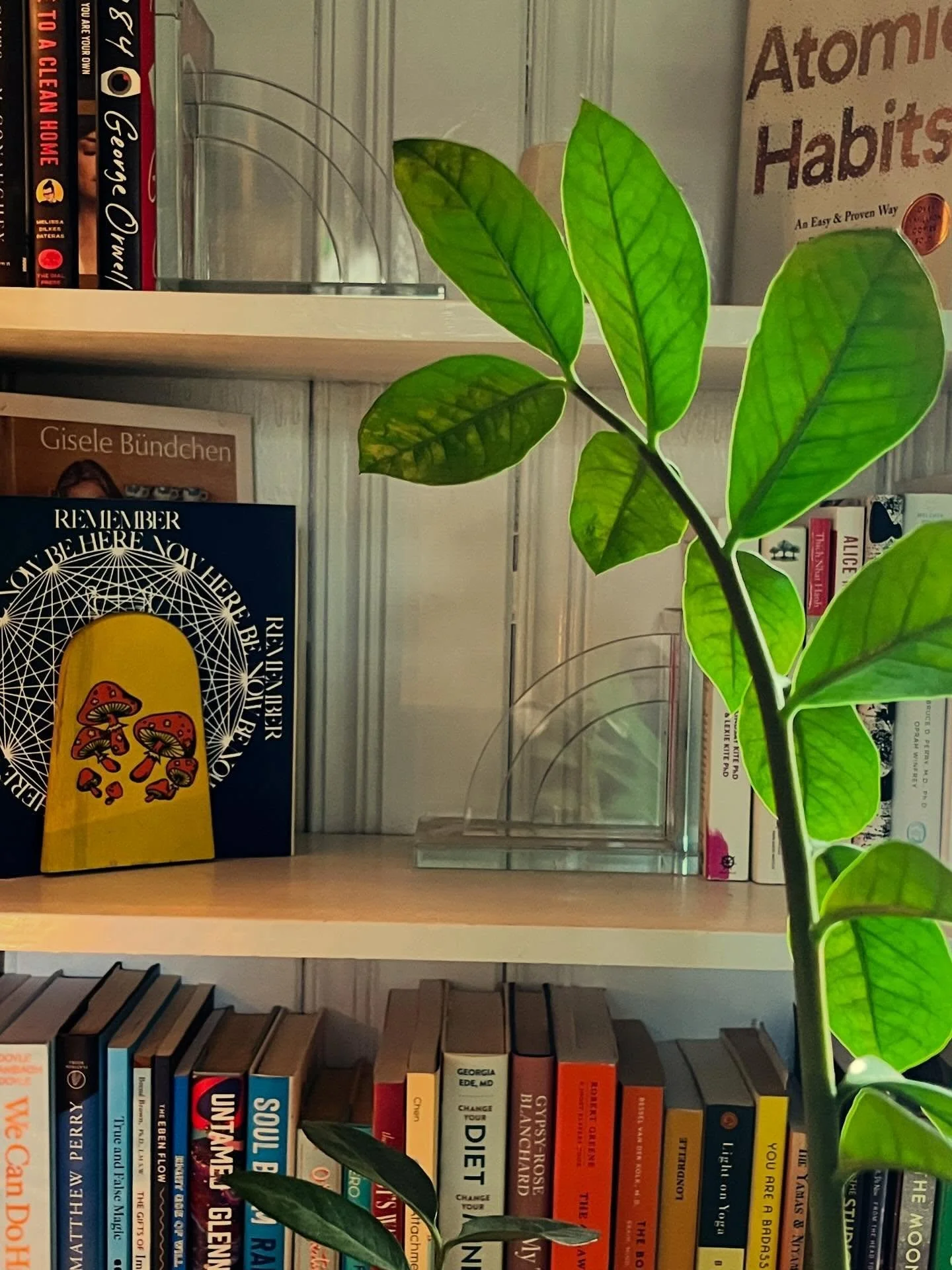 March 🌸 lots of snuggles with Mona, peaceful walks, scoring my favorite hummus at Costco, plants, flowers, thrift trips, a new deck I can&rsquo;t wait to get and bring into my RFR work. Jewelry, a clip from the event + my setup&hellip; and Mona hang