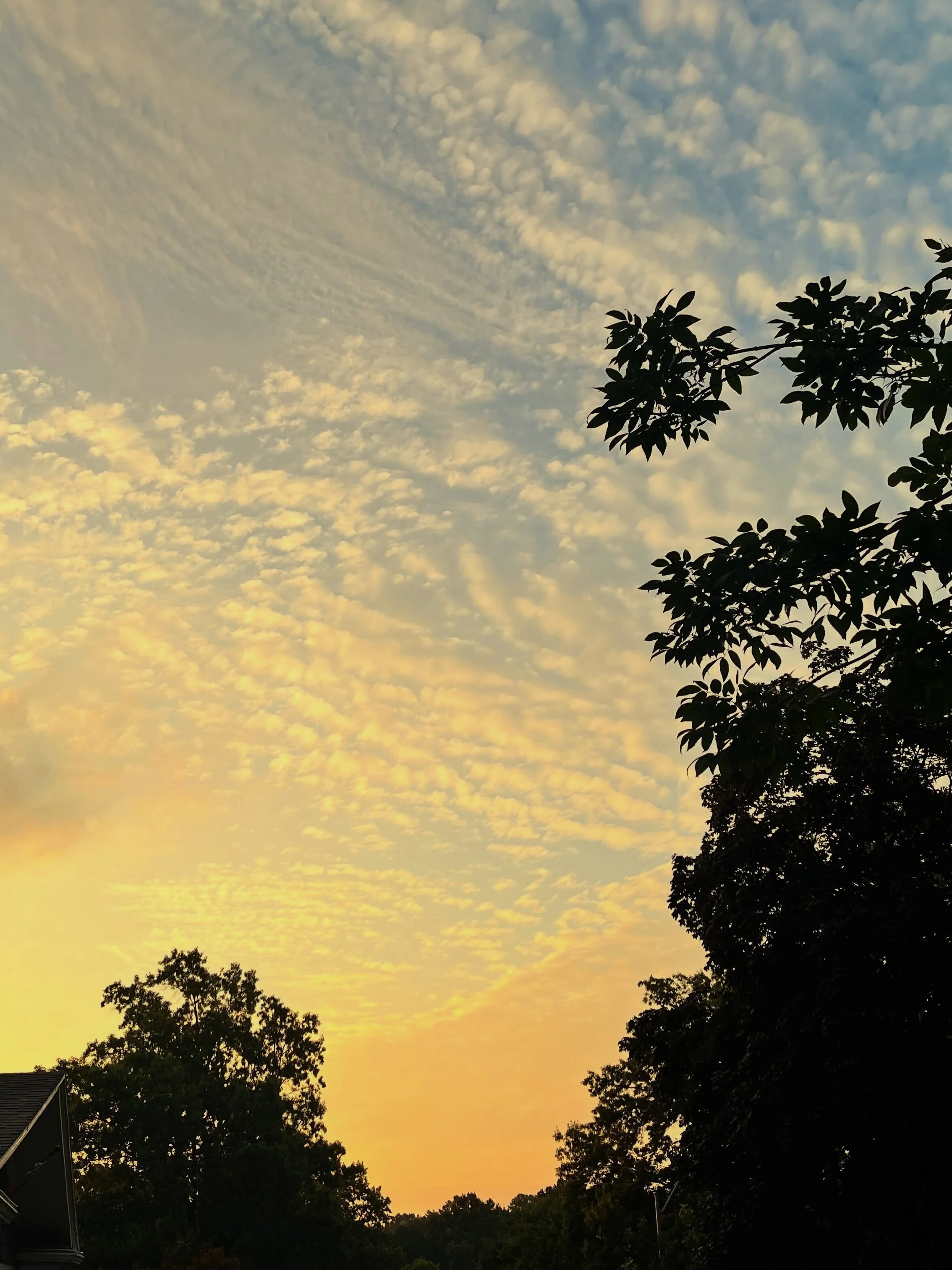 Another gorgeous morning!! The clouds were absolutely showing off. So dreamy! 🔆
