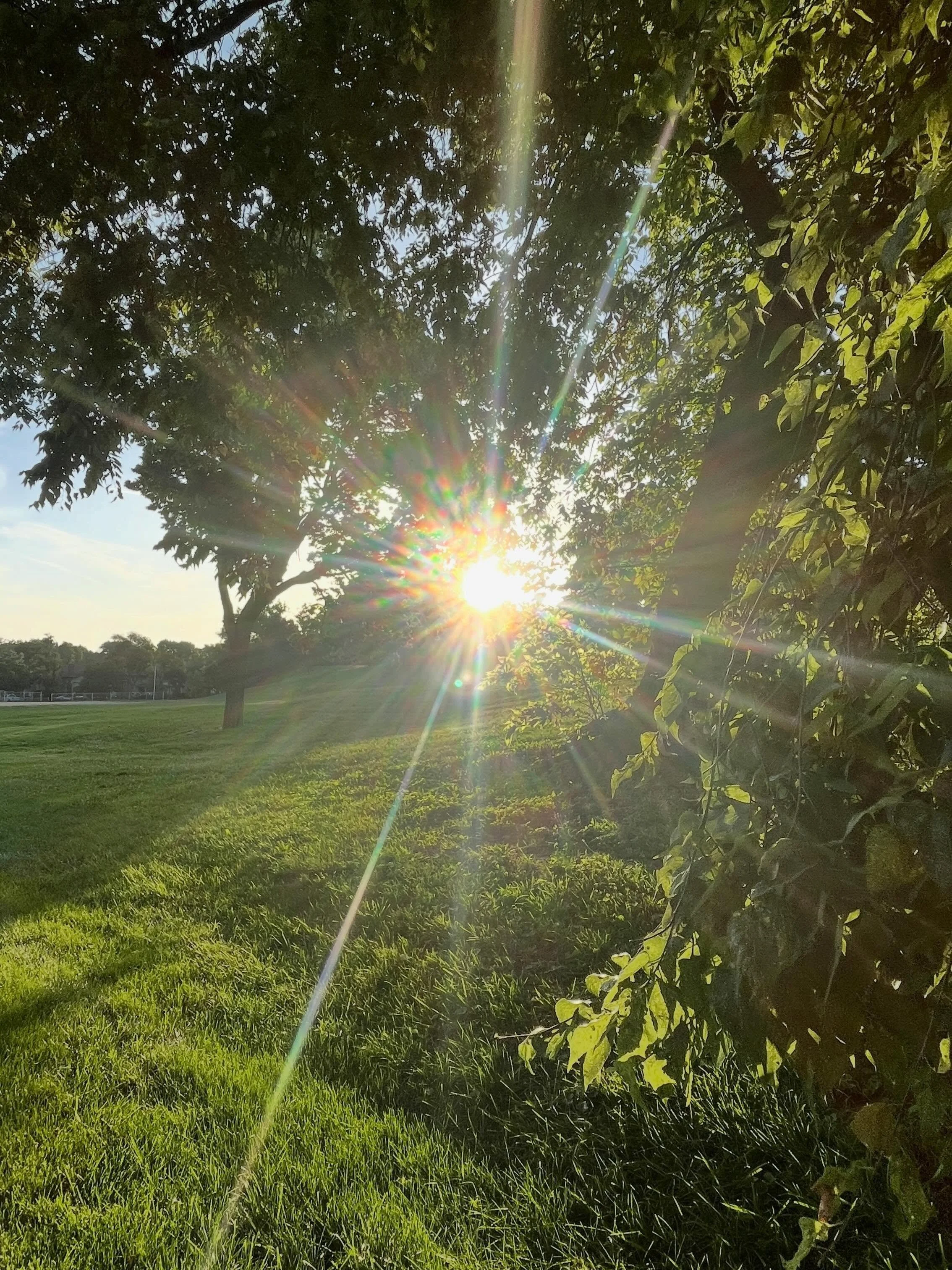 Hello July ✨ May this month offer glimmers of light, moments of hope, sparks of joy, pauses for gratitude and time to stop and notice all of abundance around us. 

Snapped this sunlight pic this morning and it&rsquo;s definitely in my top 5 moments I