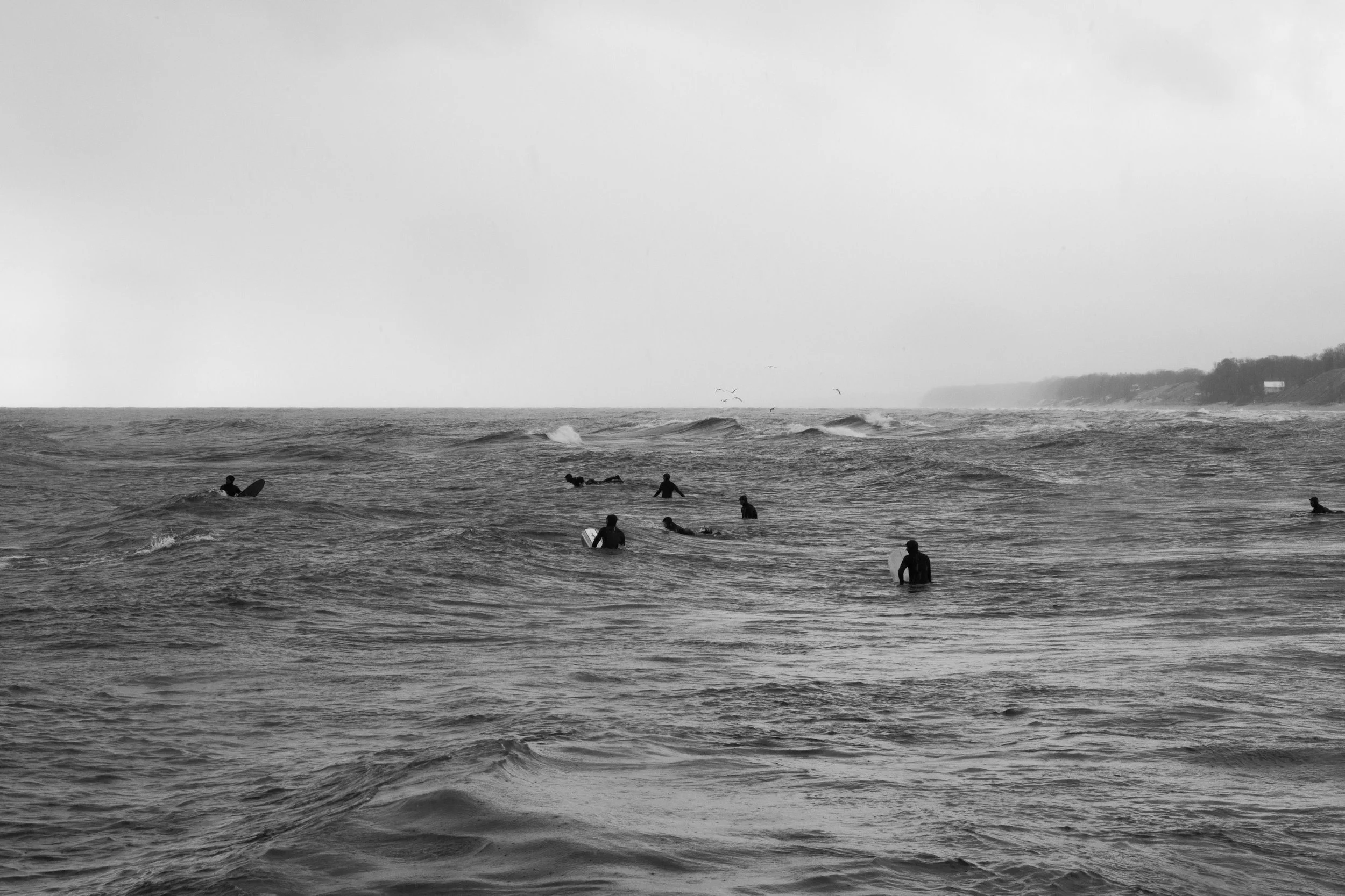 surf 2682.jpg